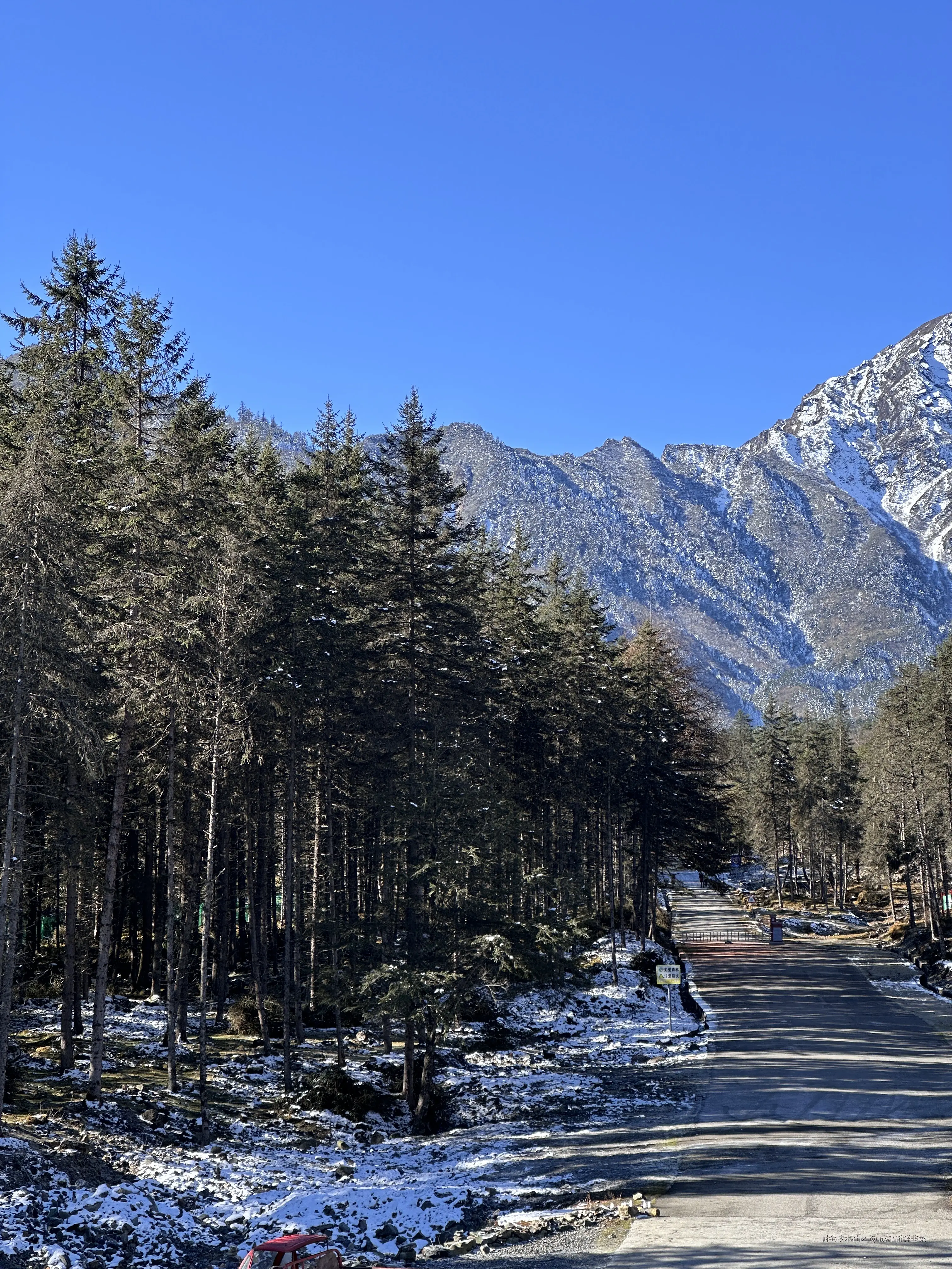 成都新鲜韭菜于2024-12-02 10:02发布的图片