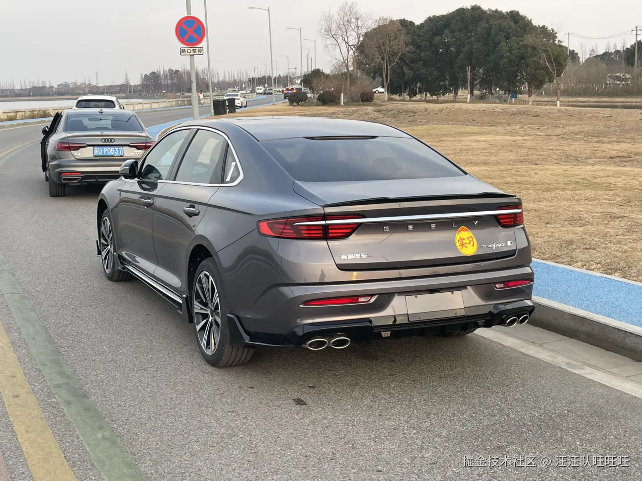 汪汪队旺旺旺于2025-02-08 05:28发布的图片