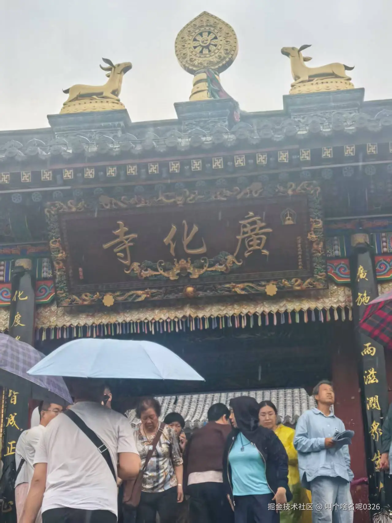 叫个啥名呢0326于2025-07-21 10:19发布的图片