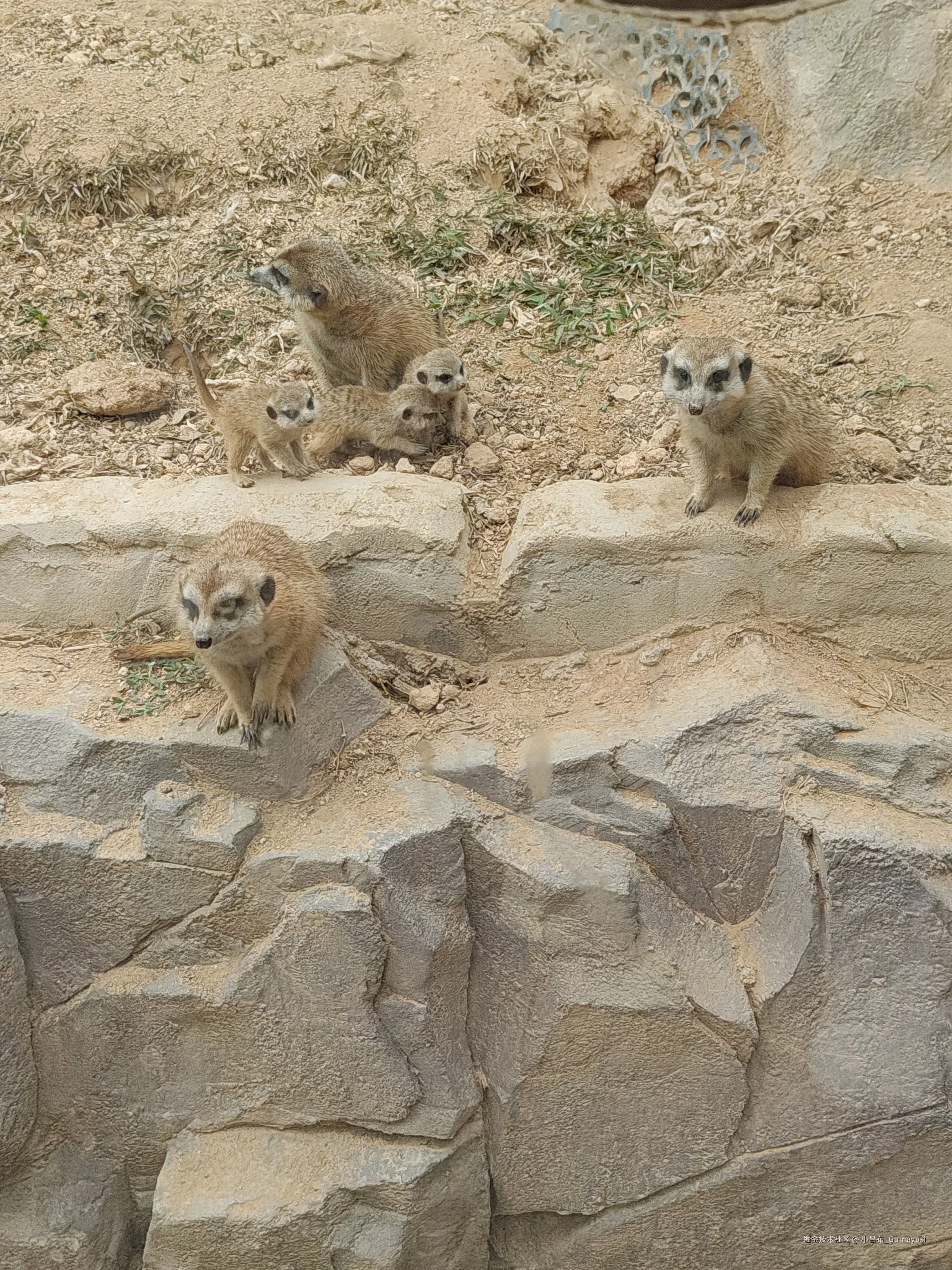 小吕布_Gumayusi于2025-03-03 09:36发布的图片