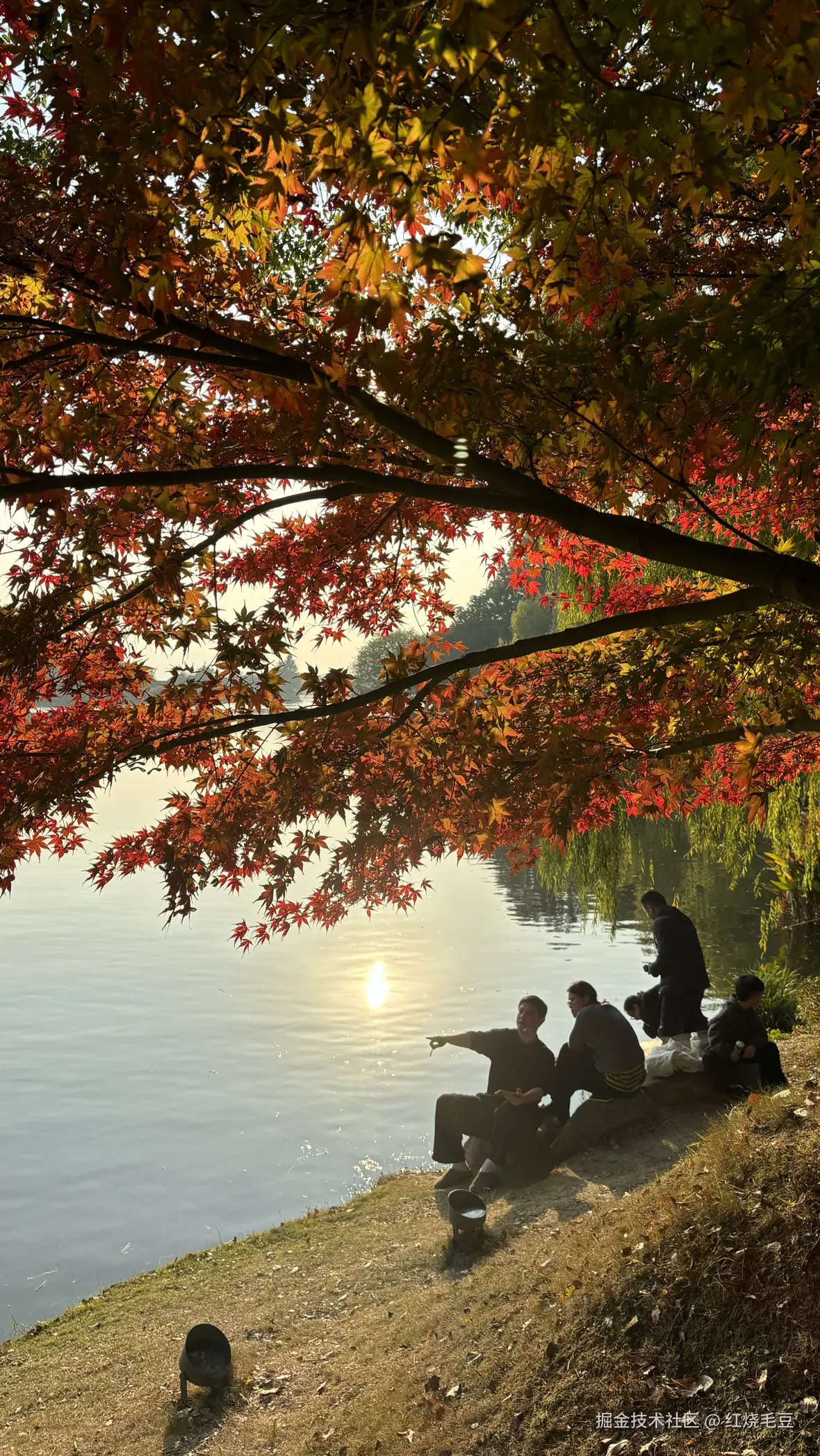 红烧毛豆于2025-12-08 09:23发布的图片