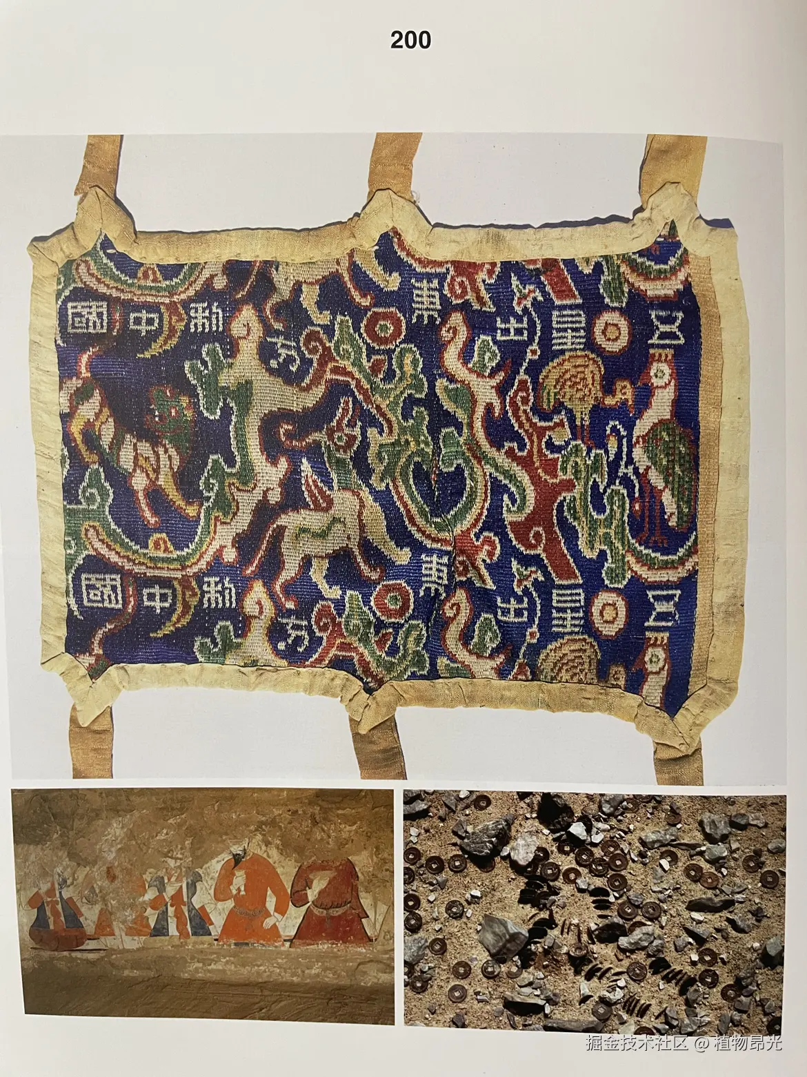 植物昂光于2026-03-22 16:53发布的图片