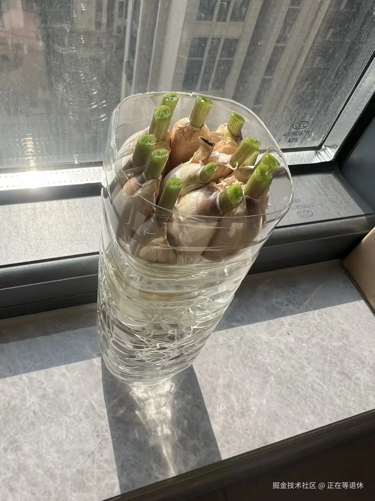 正在等退休于2025-11-04 15:49发布的图片