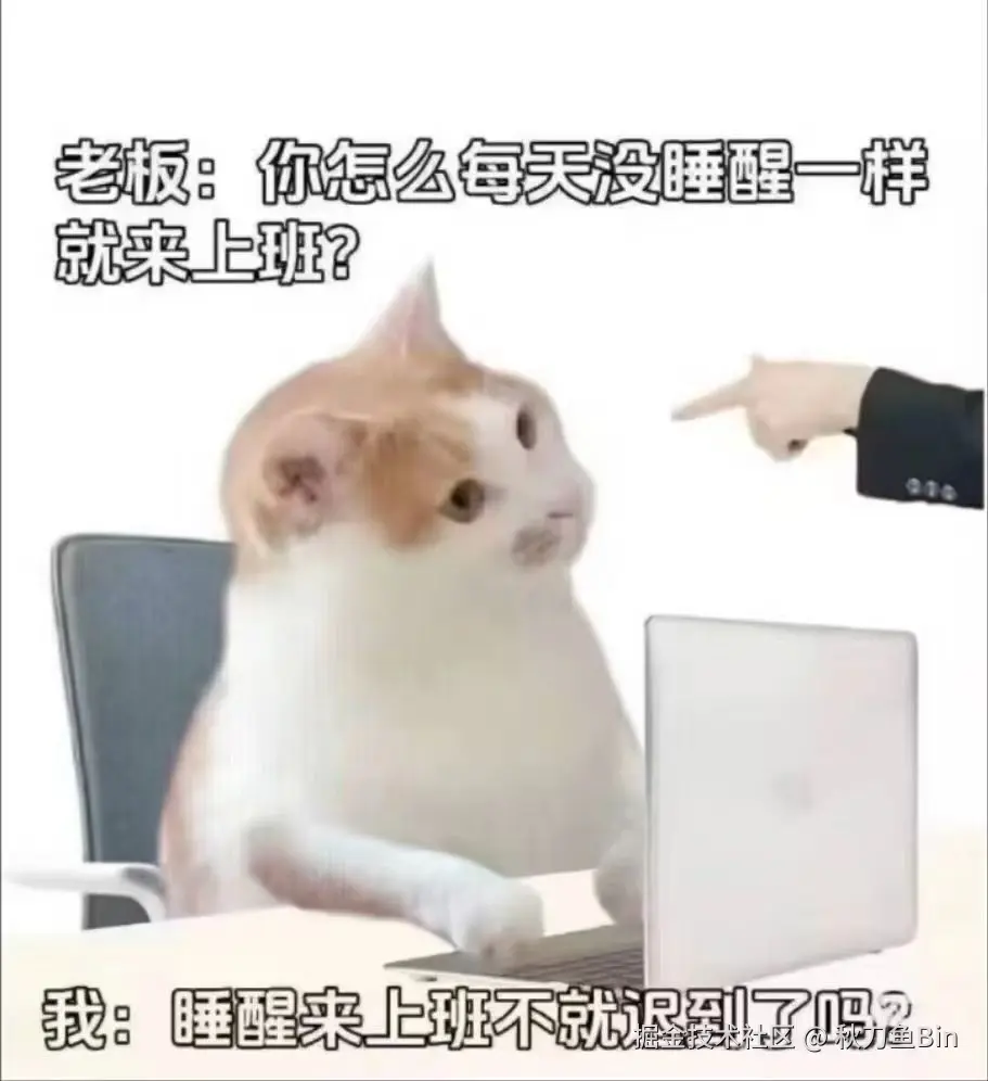 秋刀鱼Bin于2024-11-25 18:07发布的图片