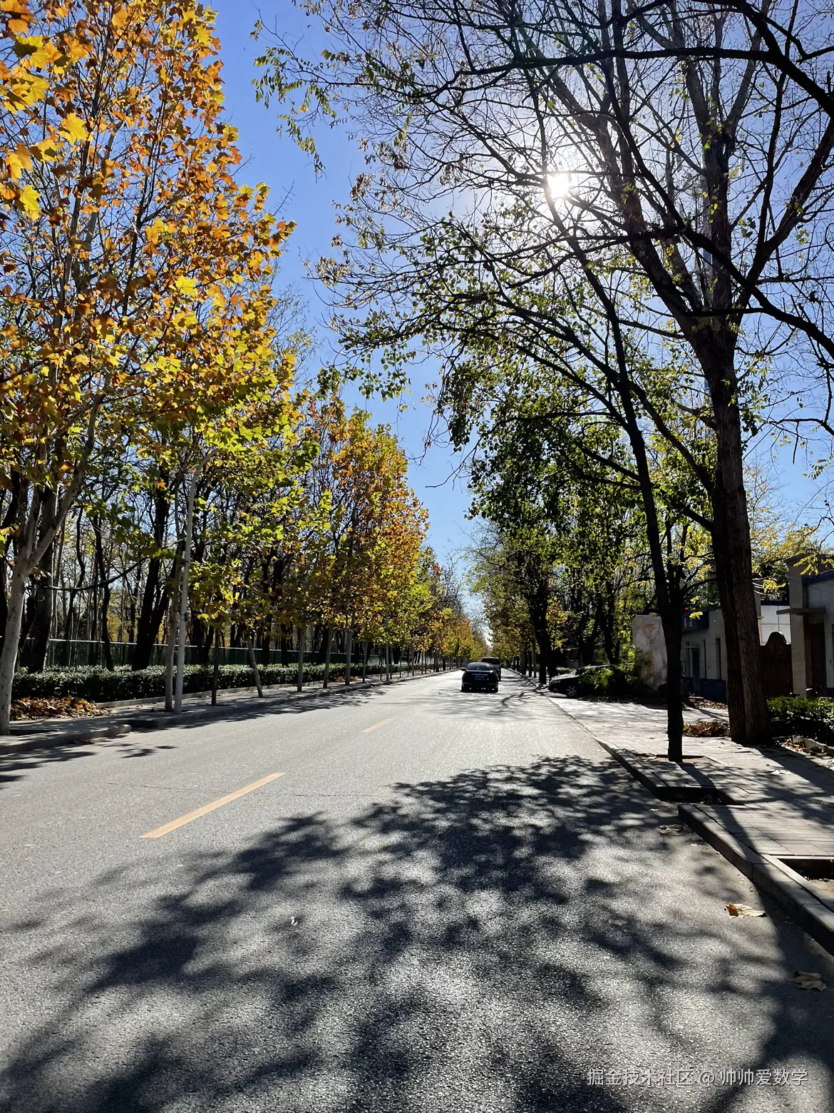 帅帅爱数学于2024-11-17 12:41发布的图片