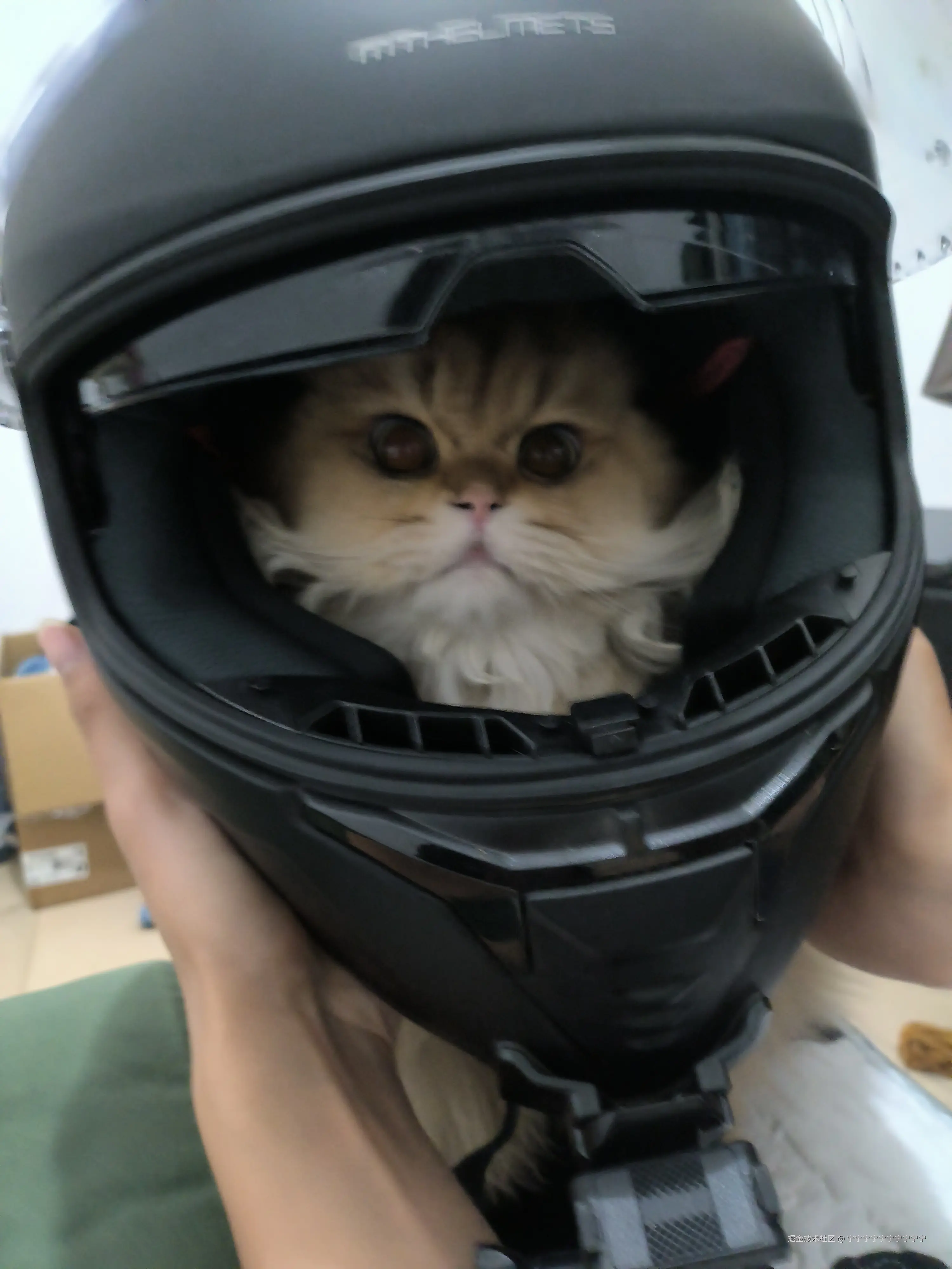 宁宁宁宁宁宁宁宁宁宁于2024-12-10 09:53发布的图片