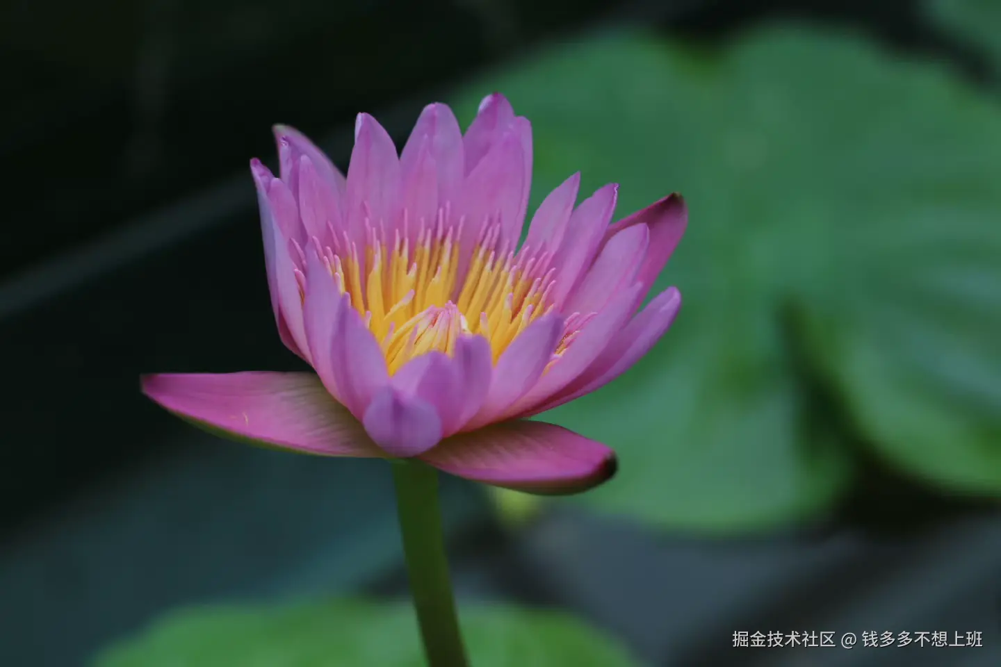 钱多多不想上班于2025-08-29 14:29发布的图片