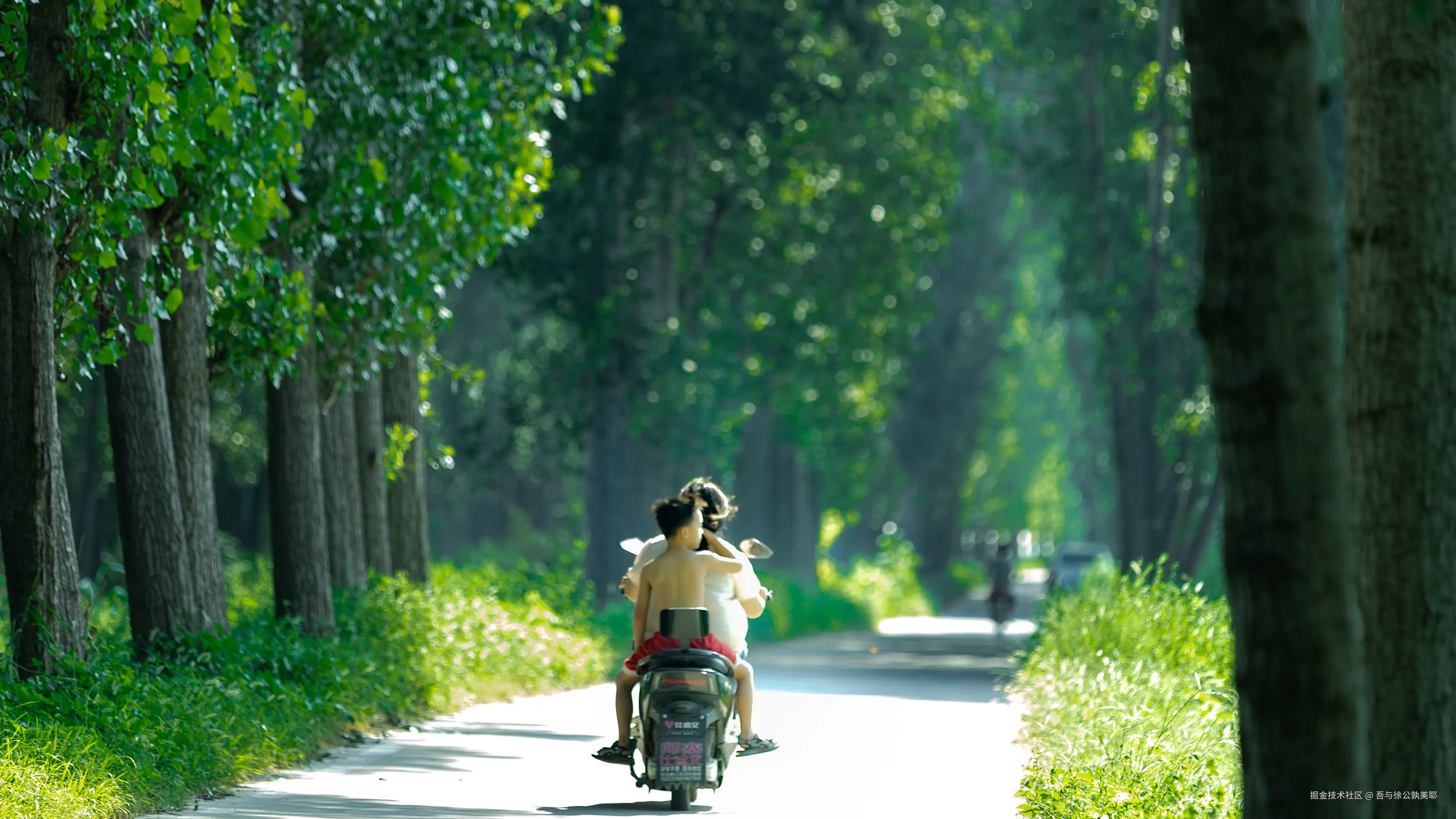 吾与徐公孰美耶于2024-08-29 15:21发布的图片