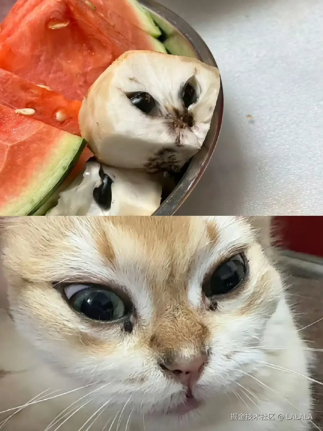 LALALA于2026-04-05 14:40发布的图片