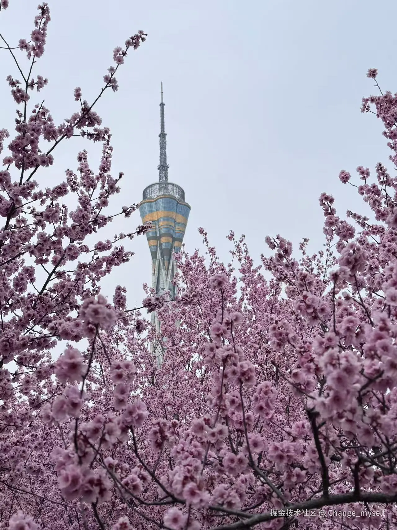 Change_myself于2026-03-16 16:54发布的图片