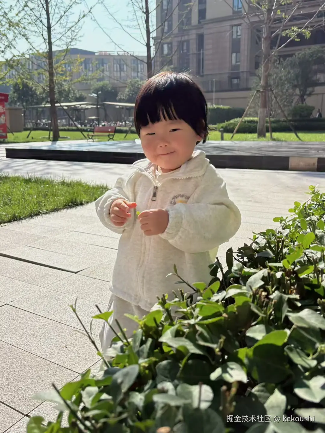 kekoushi于2026-01-28 13:48发布的图片