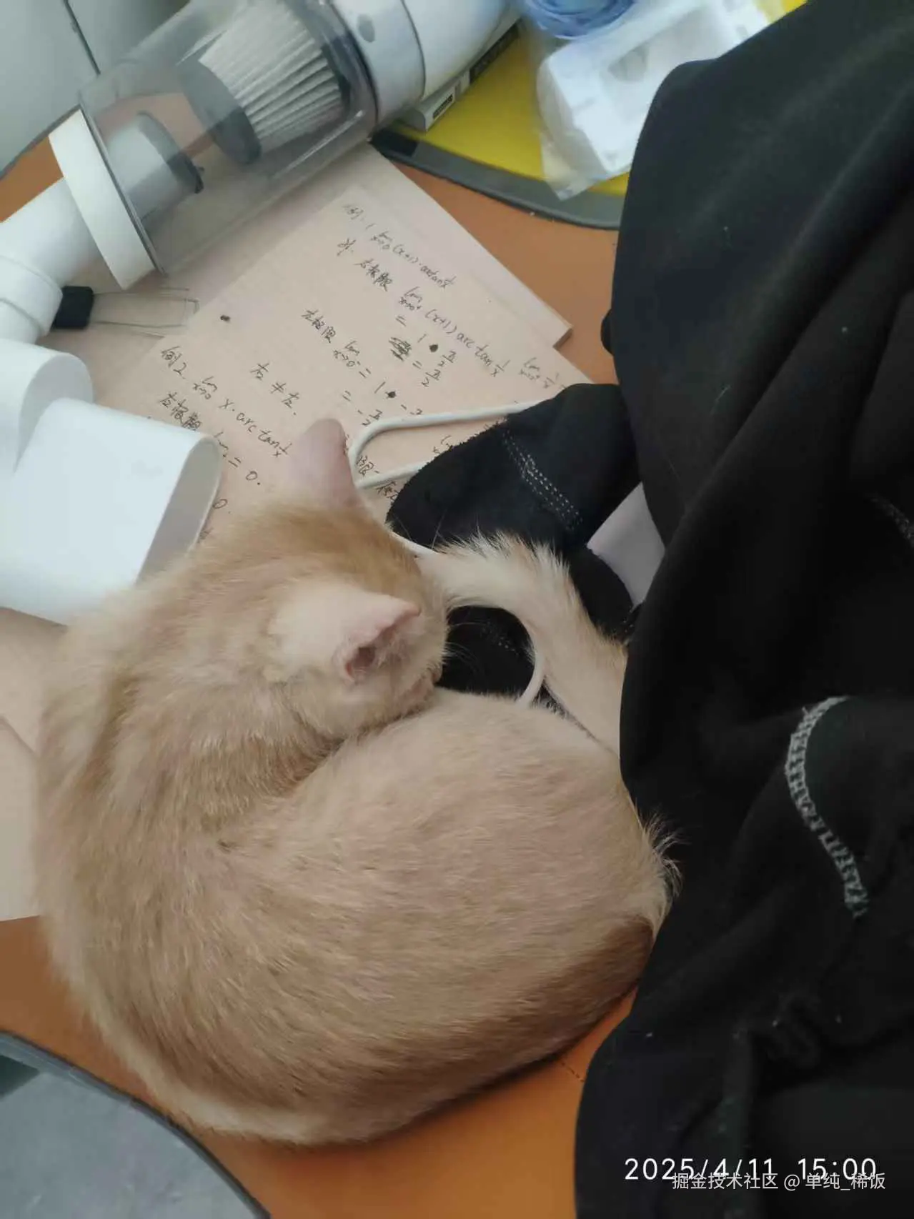 单纯_稀饭于2025-04-11 15:02发布的图片