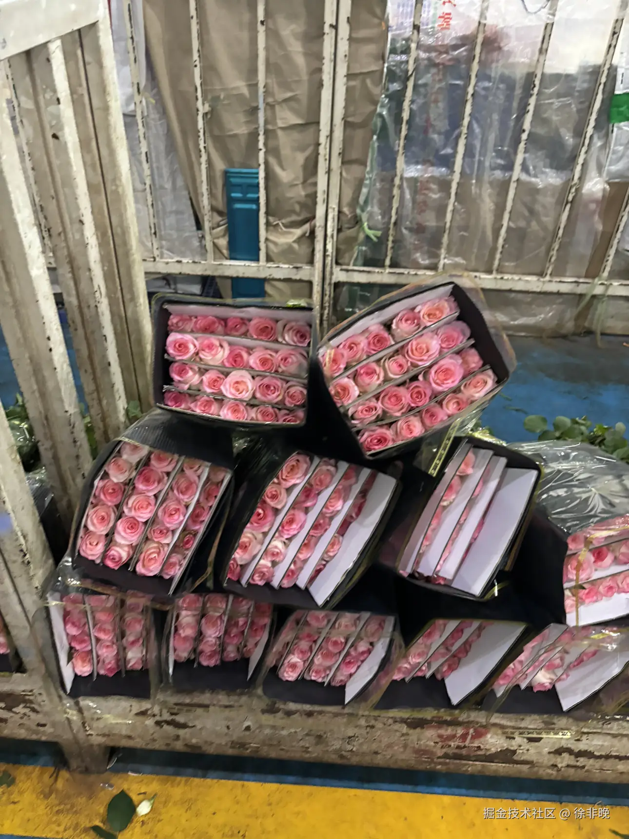 徐非晚于2024-08-26 22:49发布的图片