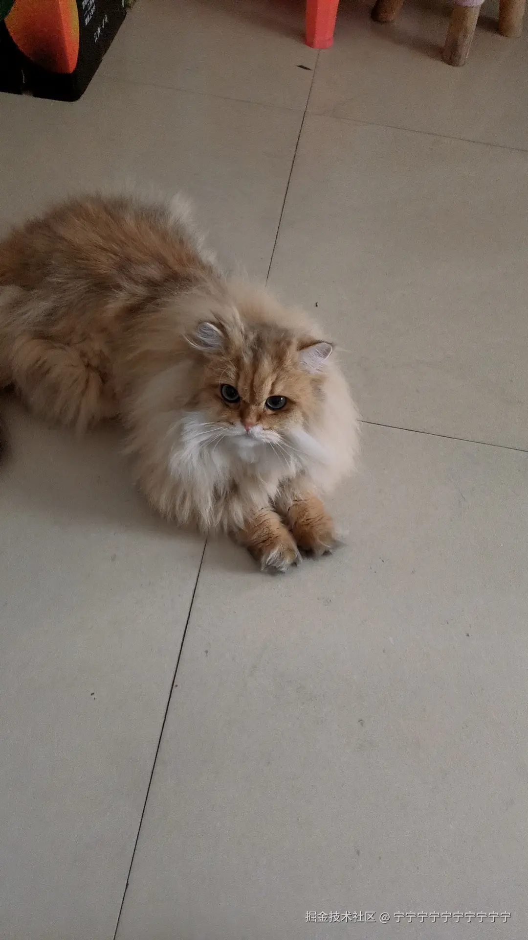 宁宁宁宁宁宁宁宁宁宁于2024-12-10 09:53发布的图片