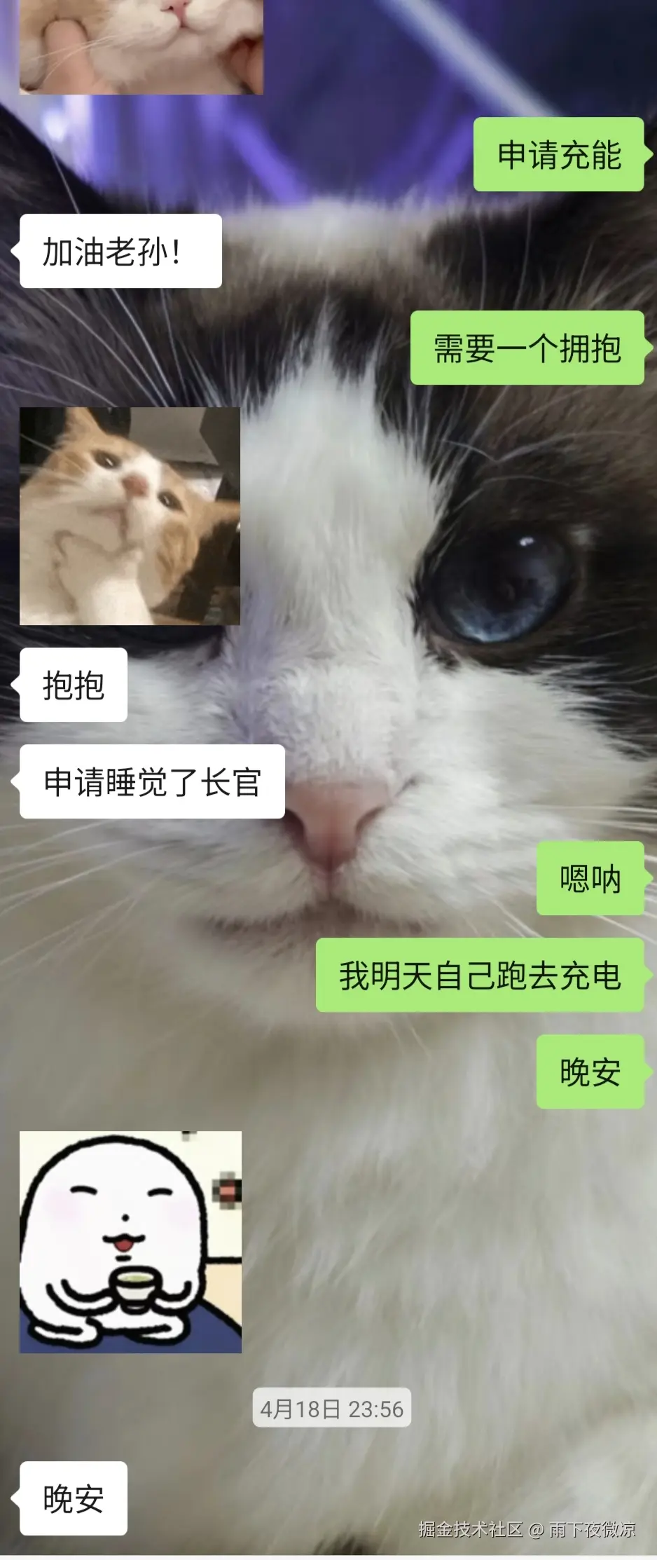 雨下夜微凉于2026-04-20 10:21发布的图片