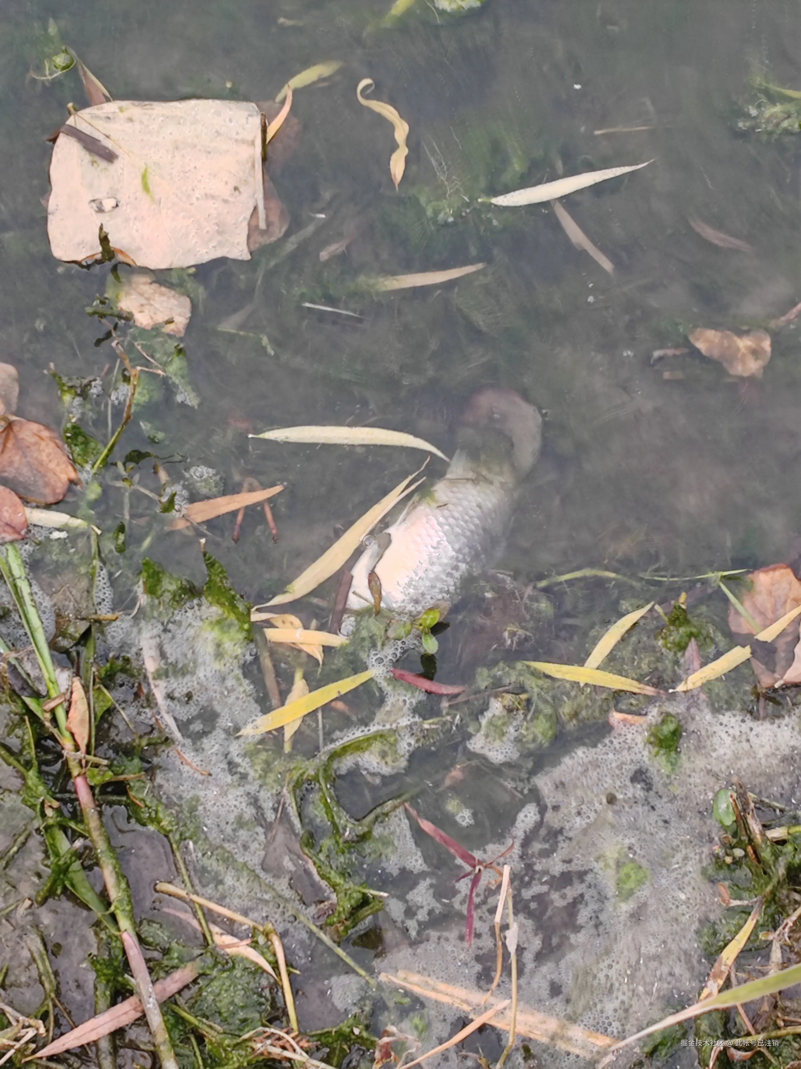 此帐号已注销于2025-12-20 15:02发布的图片