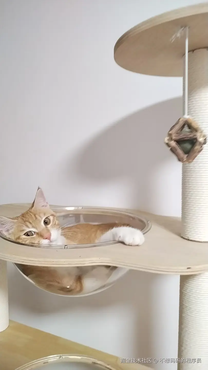 不想码码的程序员于2025-08-12 14:23发布的图片