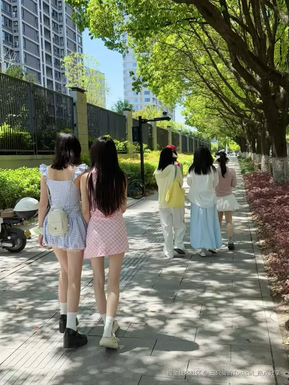 三只脚的Tomcat_热点分享于2025-04-29 11:00发布的图片