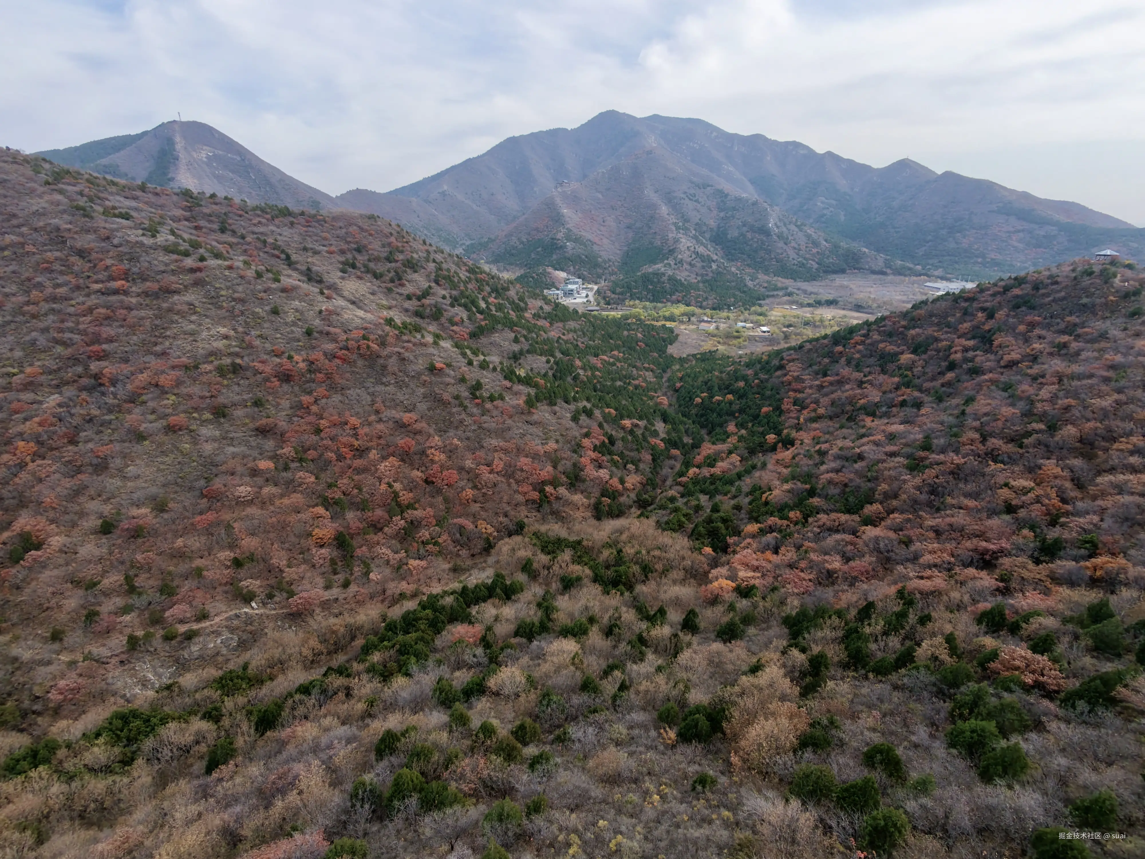 suai于2025-11-19 09:57发布的图片