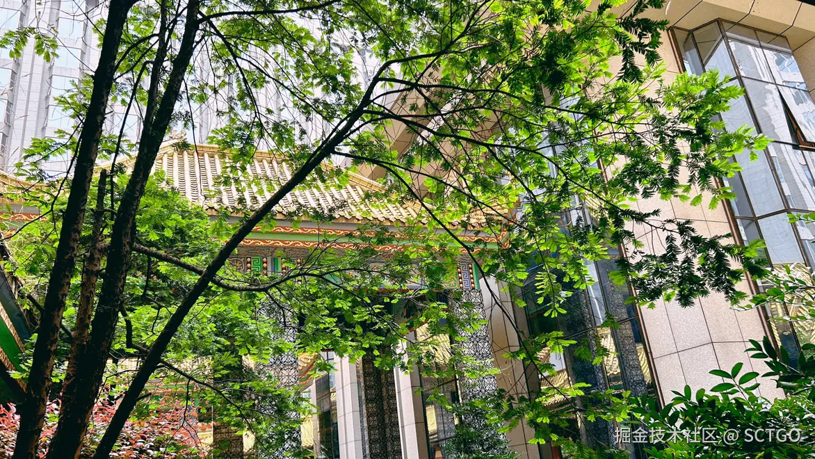 SCTGO于2024-08-08 15:08发布的图片