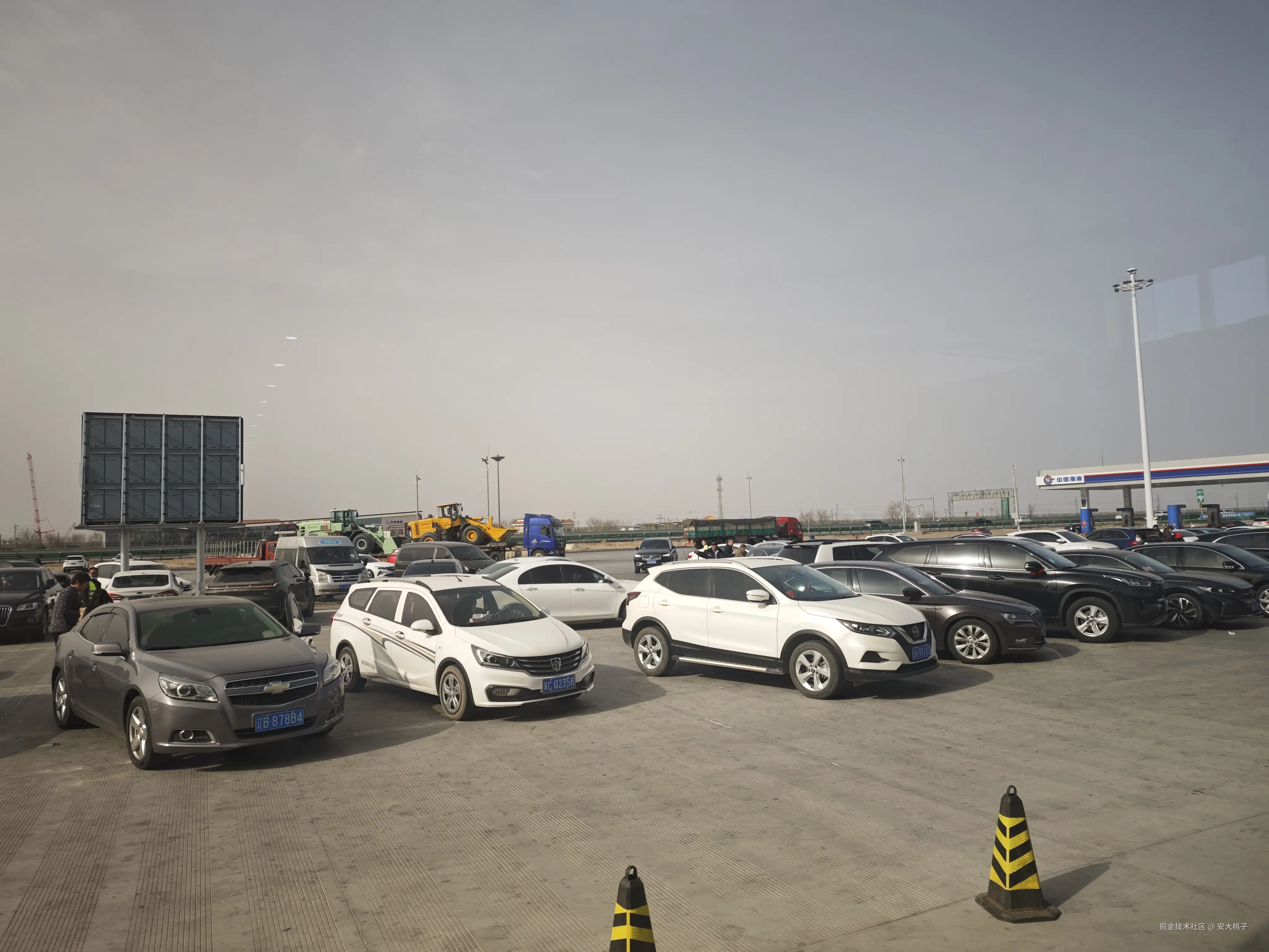 安大桃子于2026-02-23 10:14发布的图片