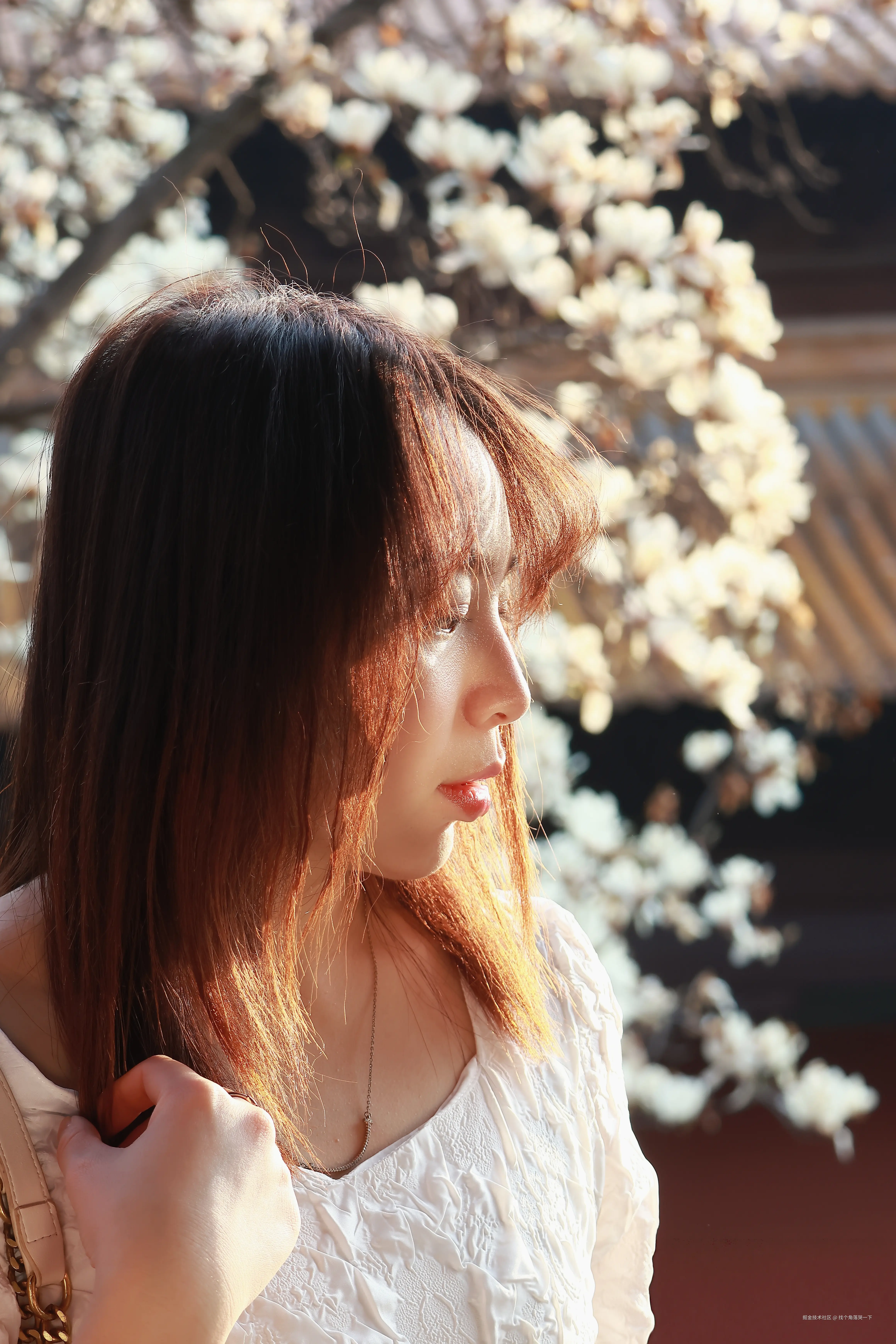 找个角落哭一下于2026-03-23 09:30发布的图片