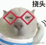 想起下雨天于2025-01-24 10:50发布的图片