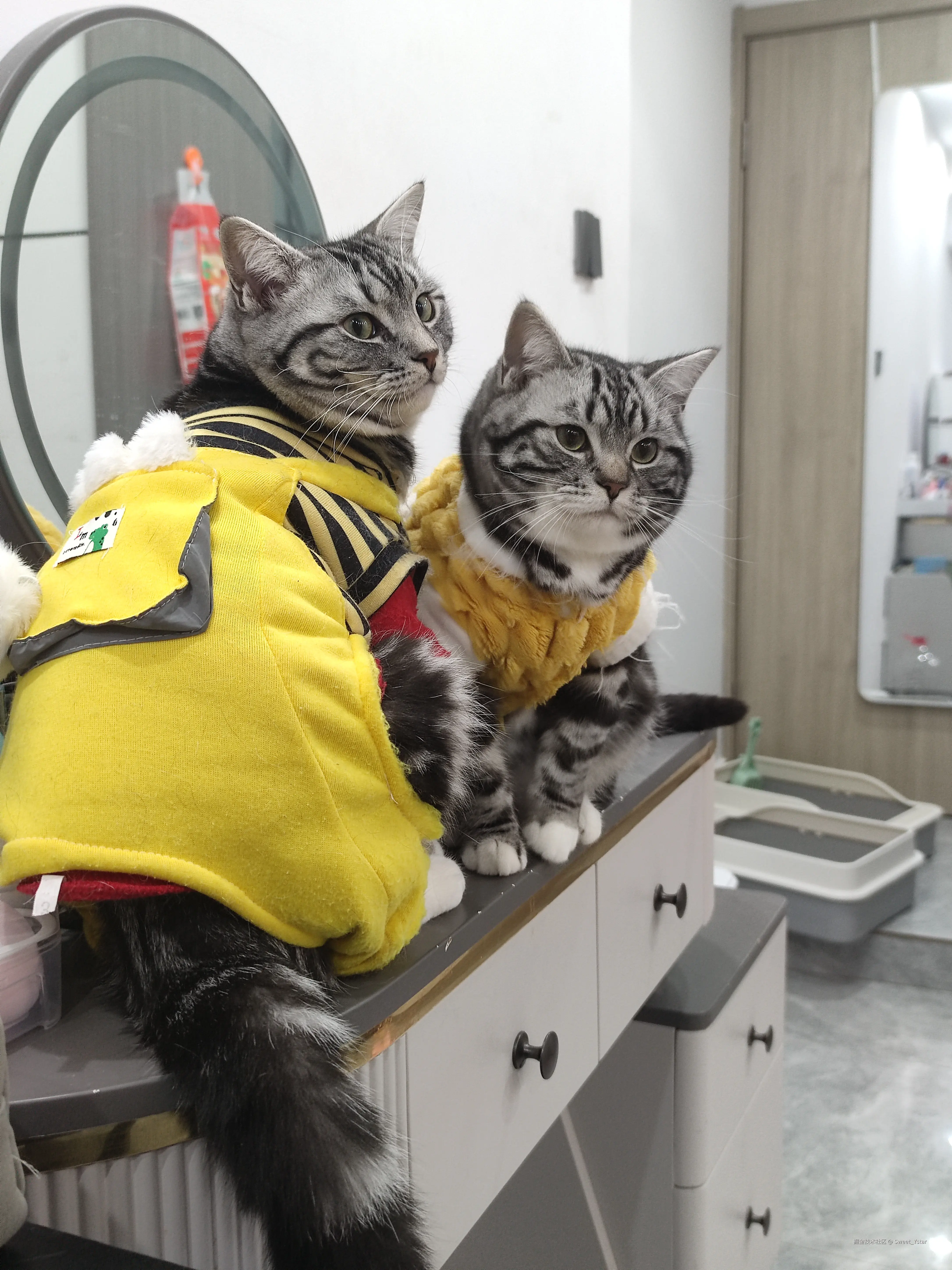 Sweet_Ystar于2026-02-13 15:57发布的图片