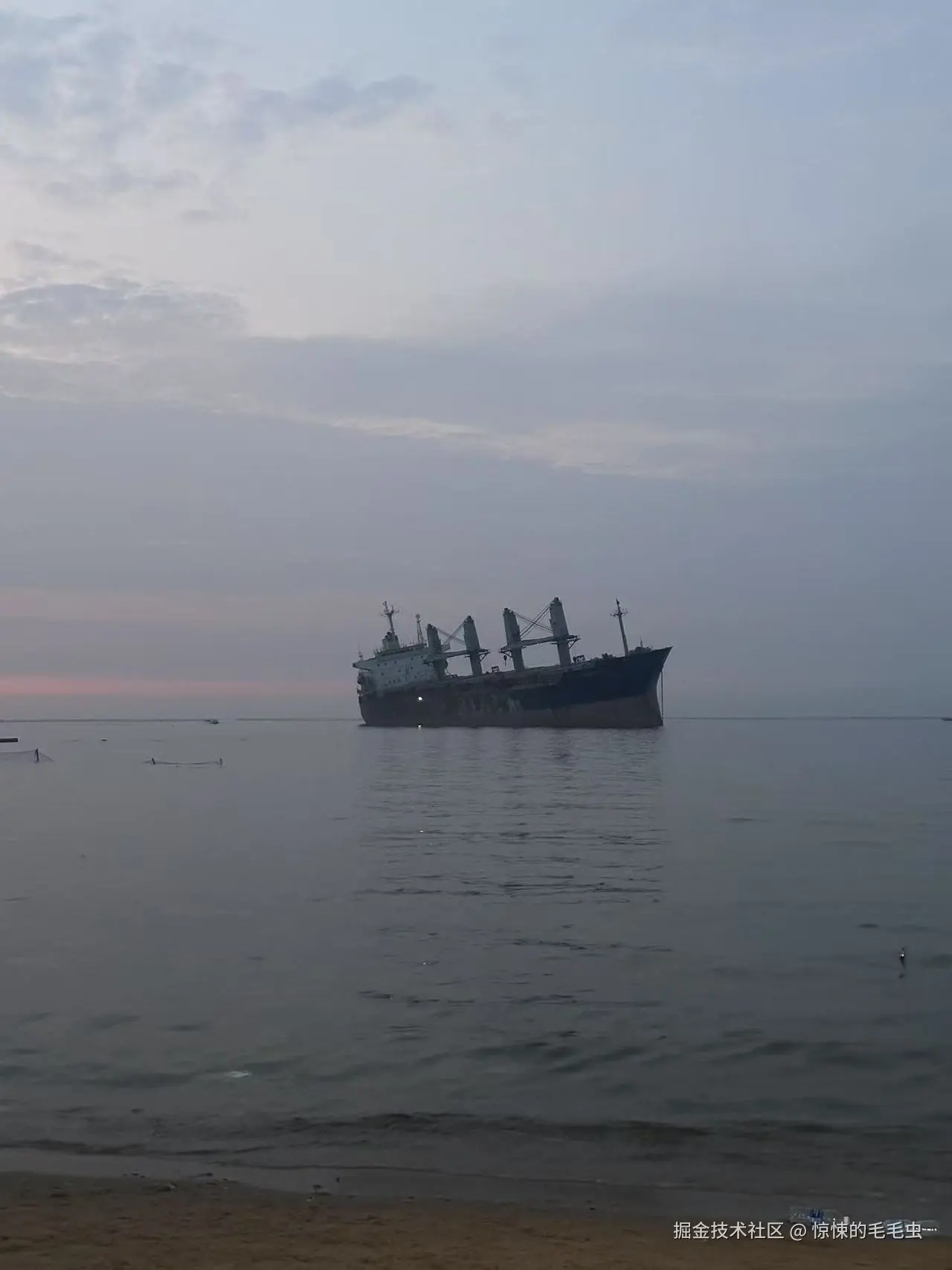 惊悚的毛毛虫于2025-07-15 10:21发布的图片