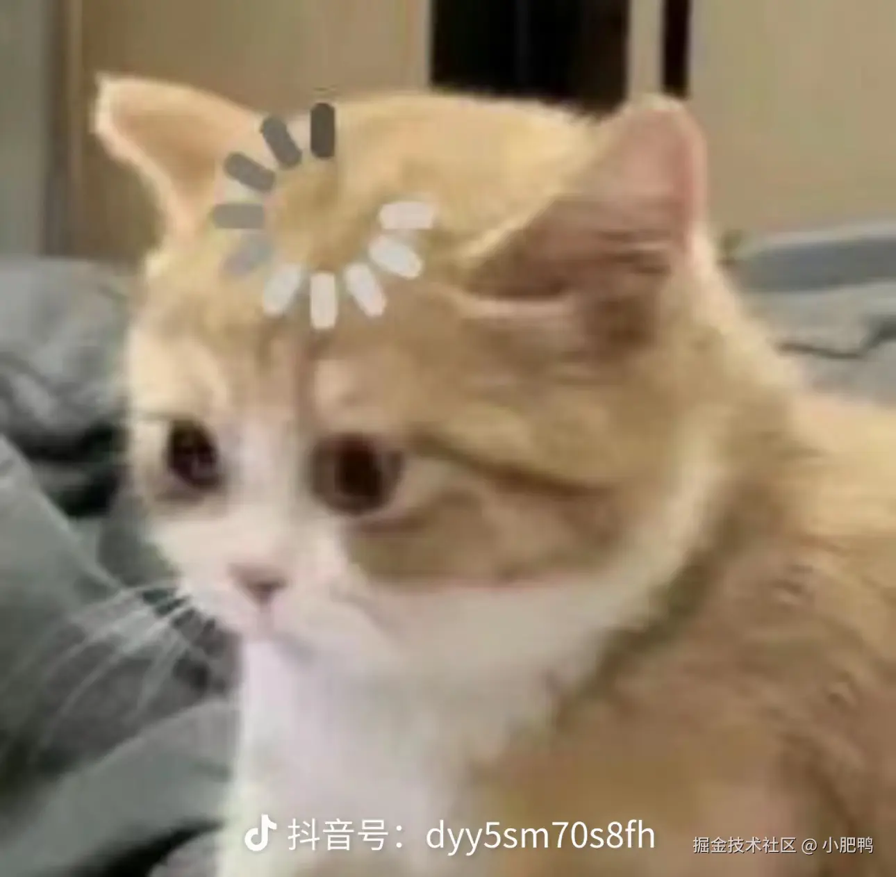 小肥鸭于2024-08-20 18:22发布的图片