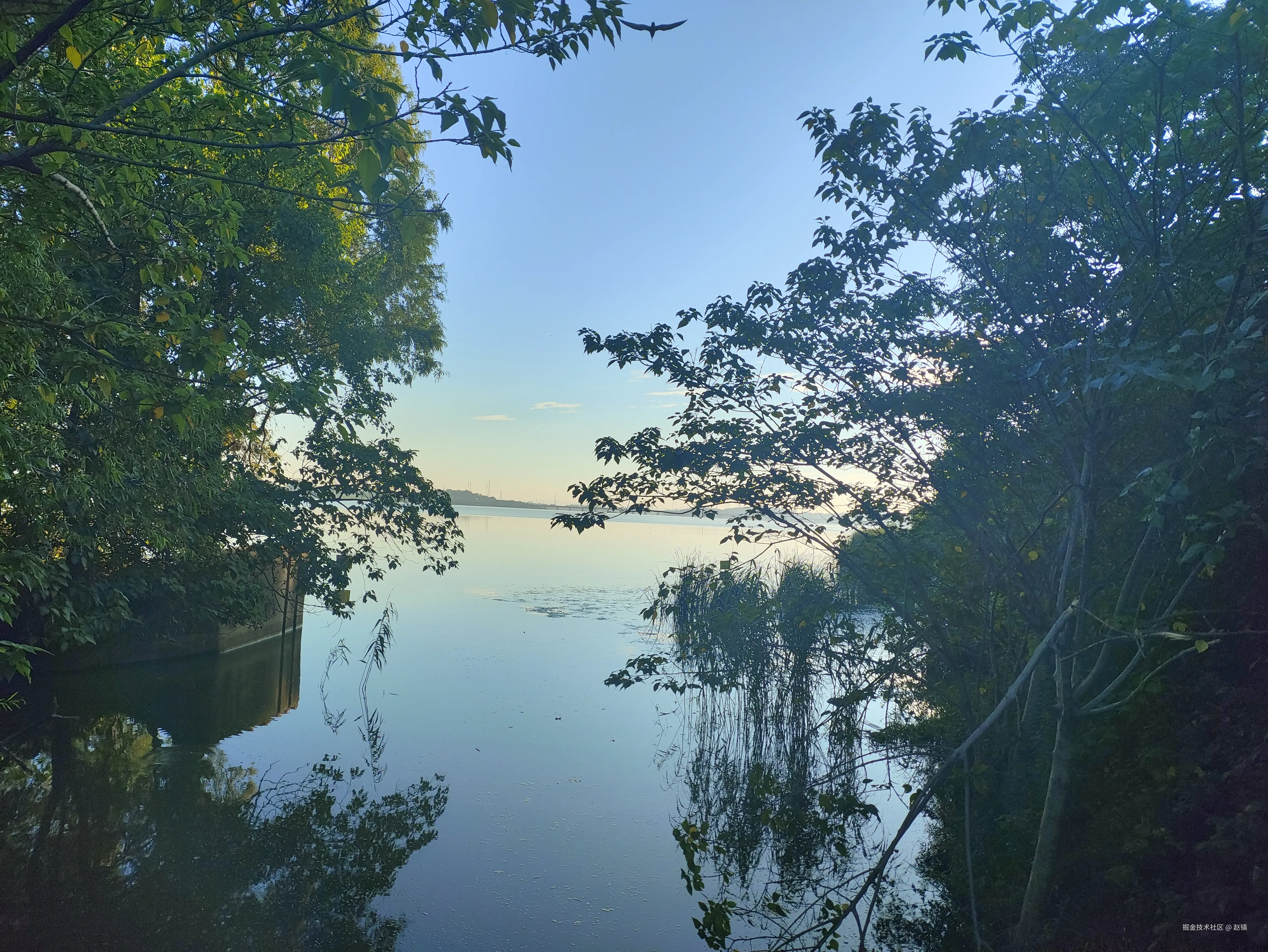 赵镇于2024-07-30 05:31发布的图片