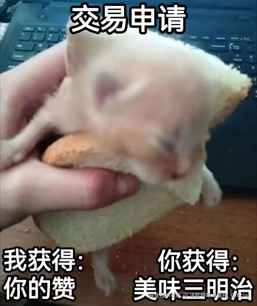 法欧特斯卡雷特_Official于2025-04-29 08:09发布的图片