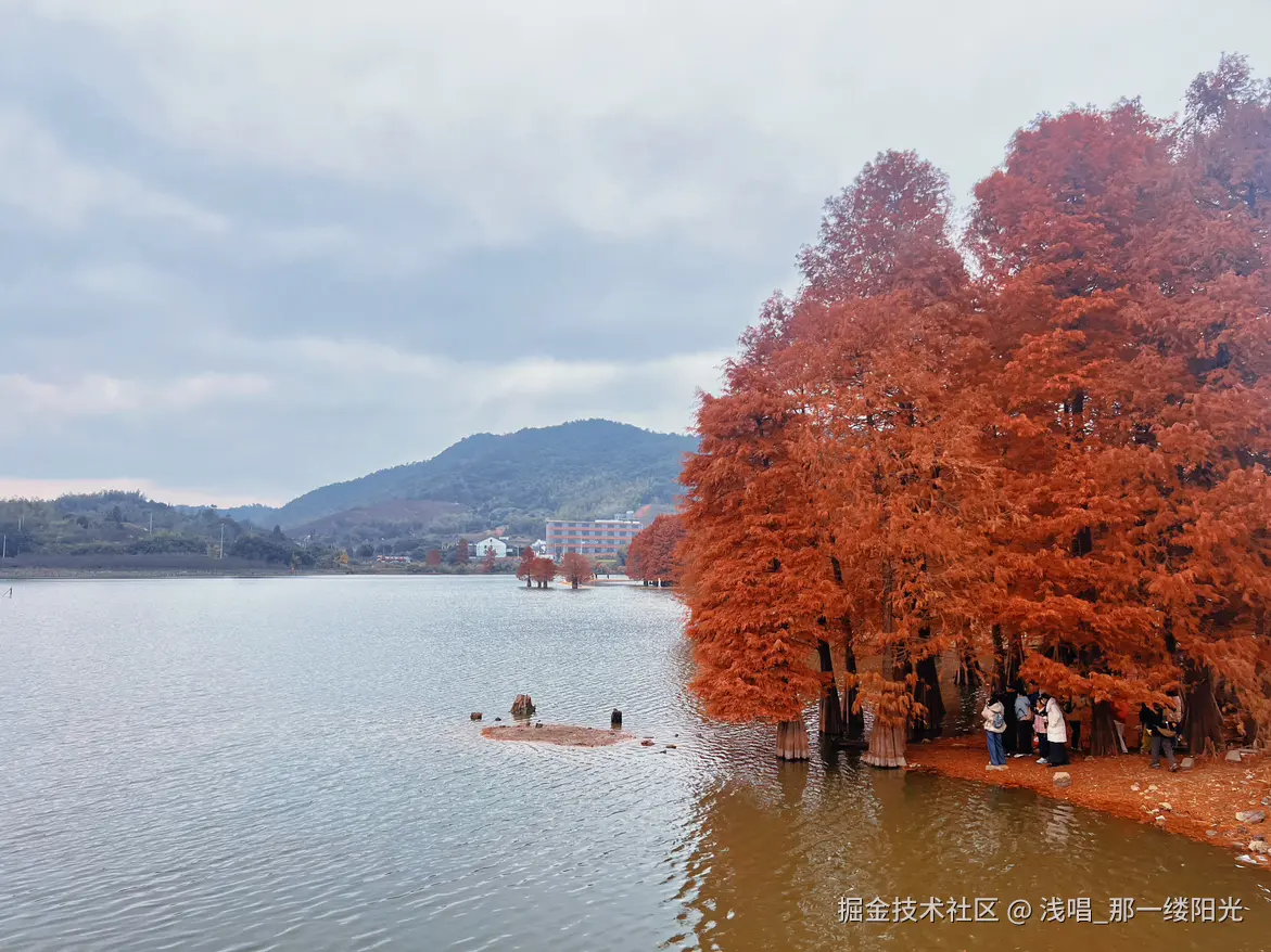 浅唱_那一缕阳光于2025-12-25 03:19发布的图片