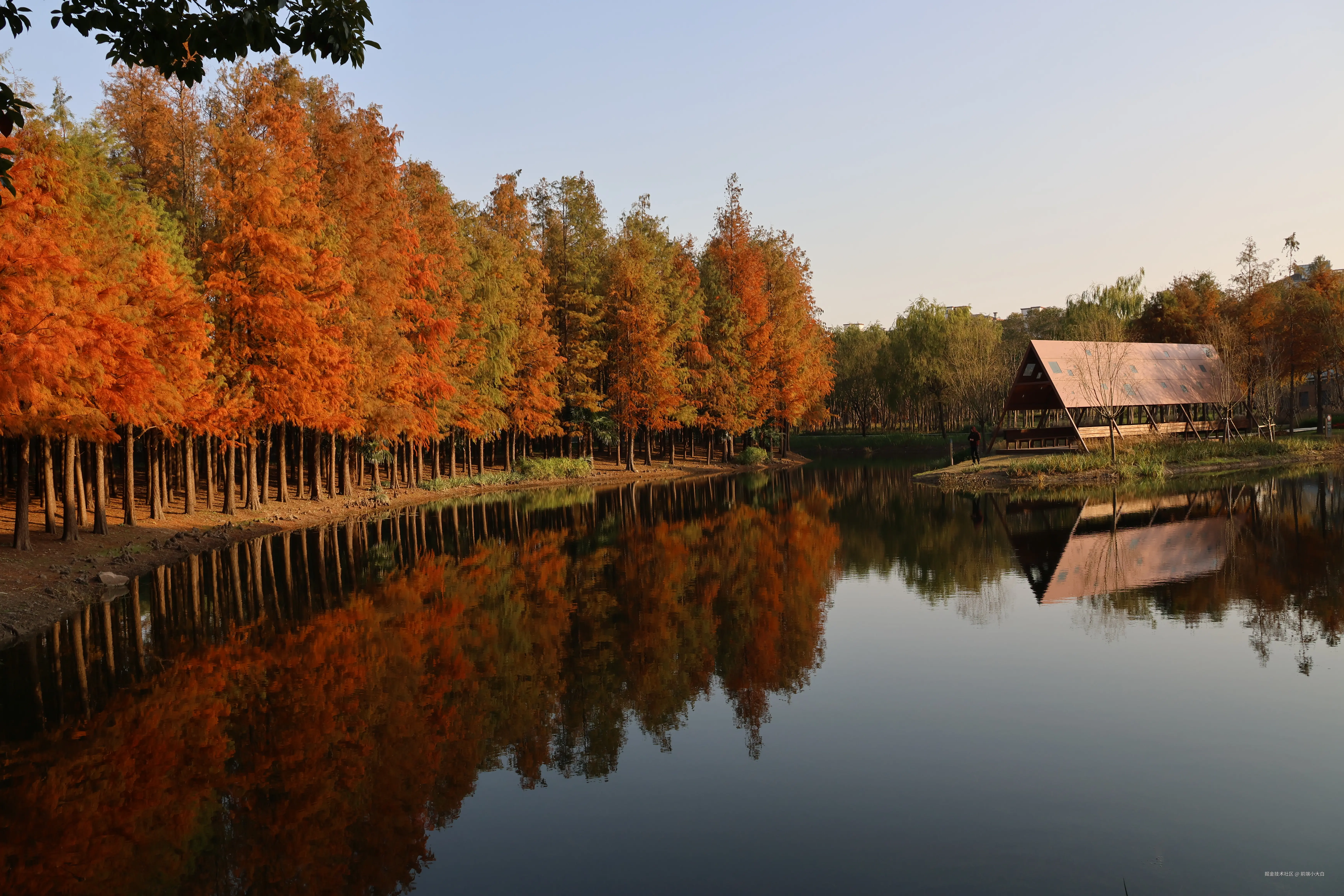 前端小大白于2025-01-09 14:38发布的图片
