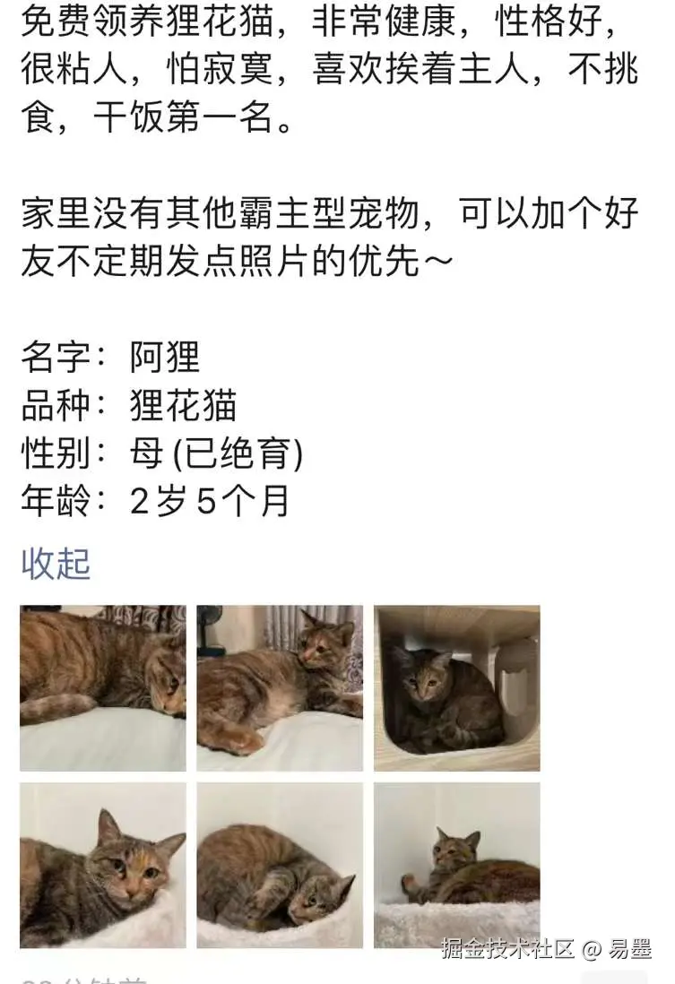 易墨于2024-07-19 05:55发布的图片