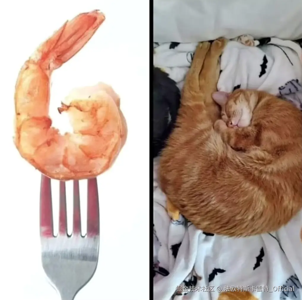 法欧特斯卡雷特_Official于2024-11-22 10:09发布的图片