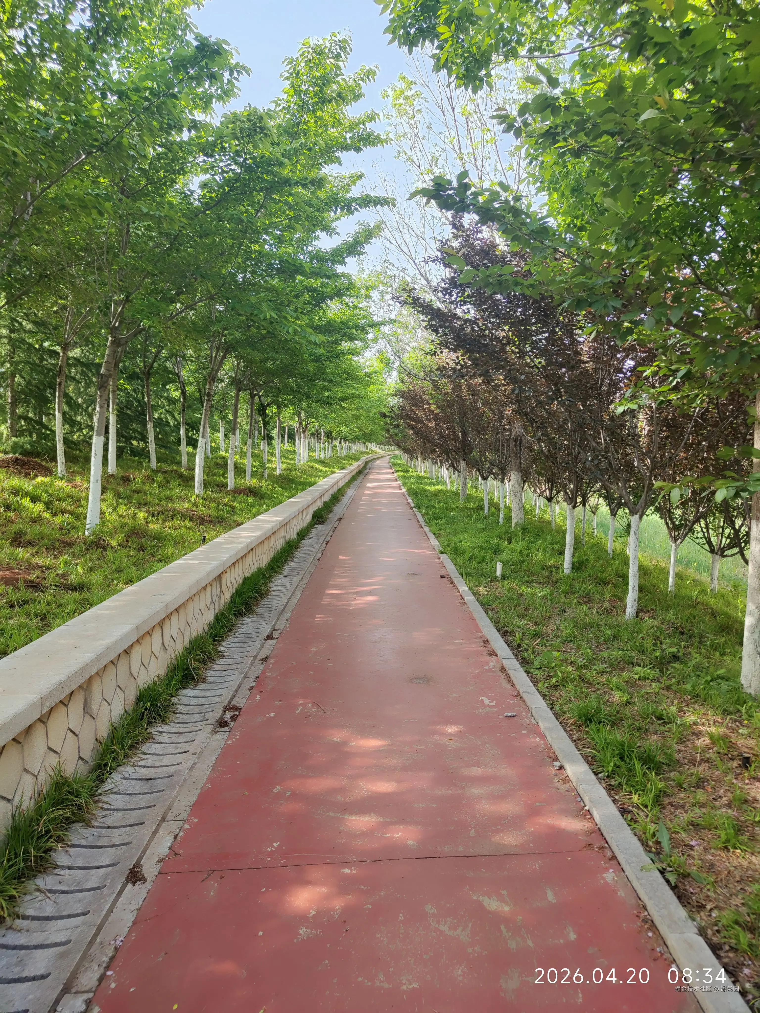 甜汤圆于2026-04-20 08:35发布的图片