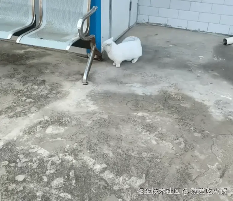 就爱吃火锅于2026-03-09 09:23发布的图片