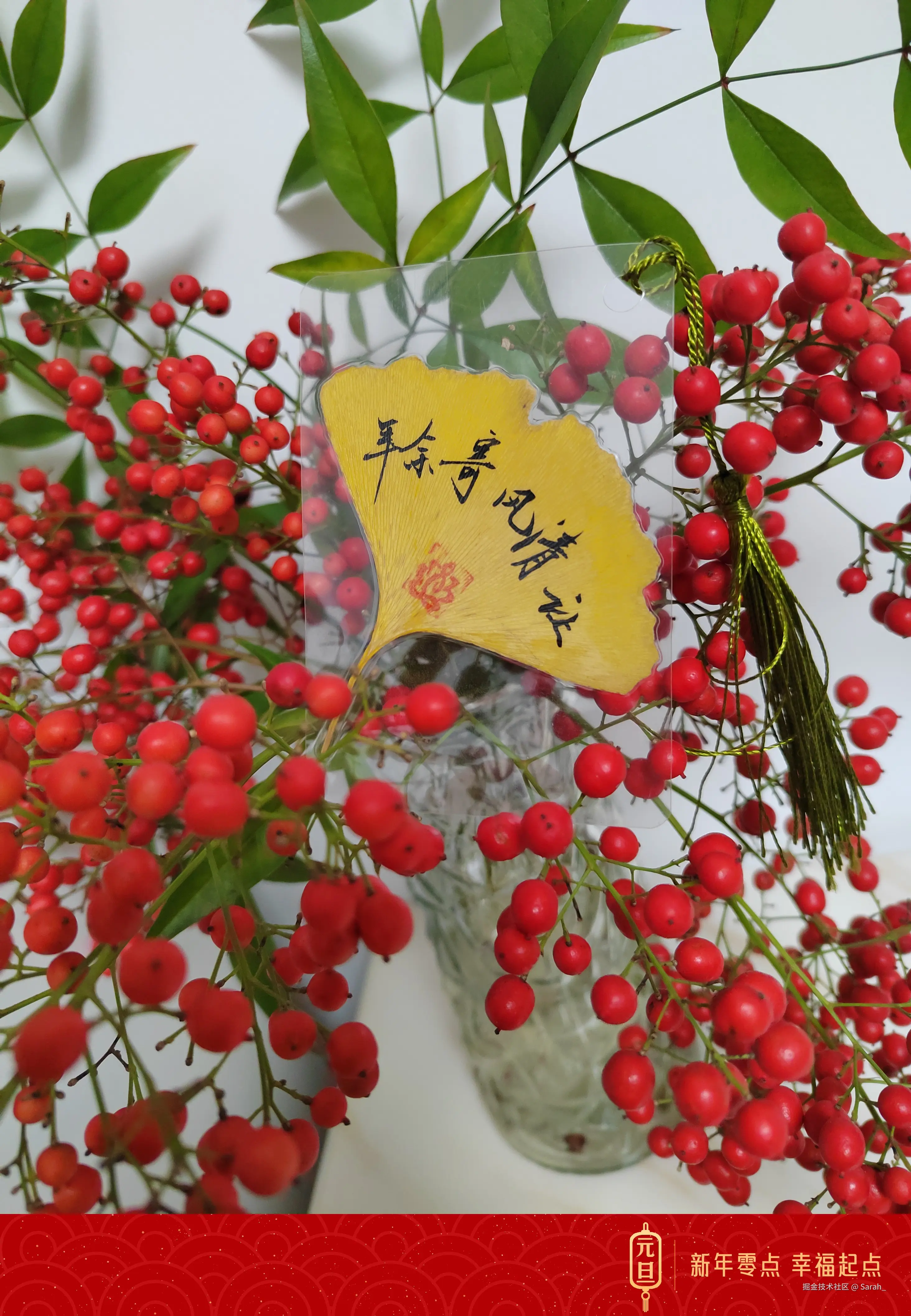Sarah_于2024-12-31 14:44发布的图片