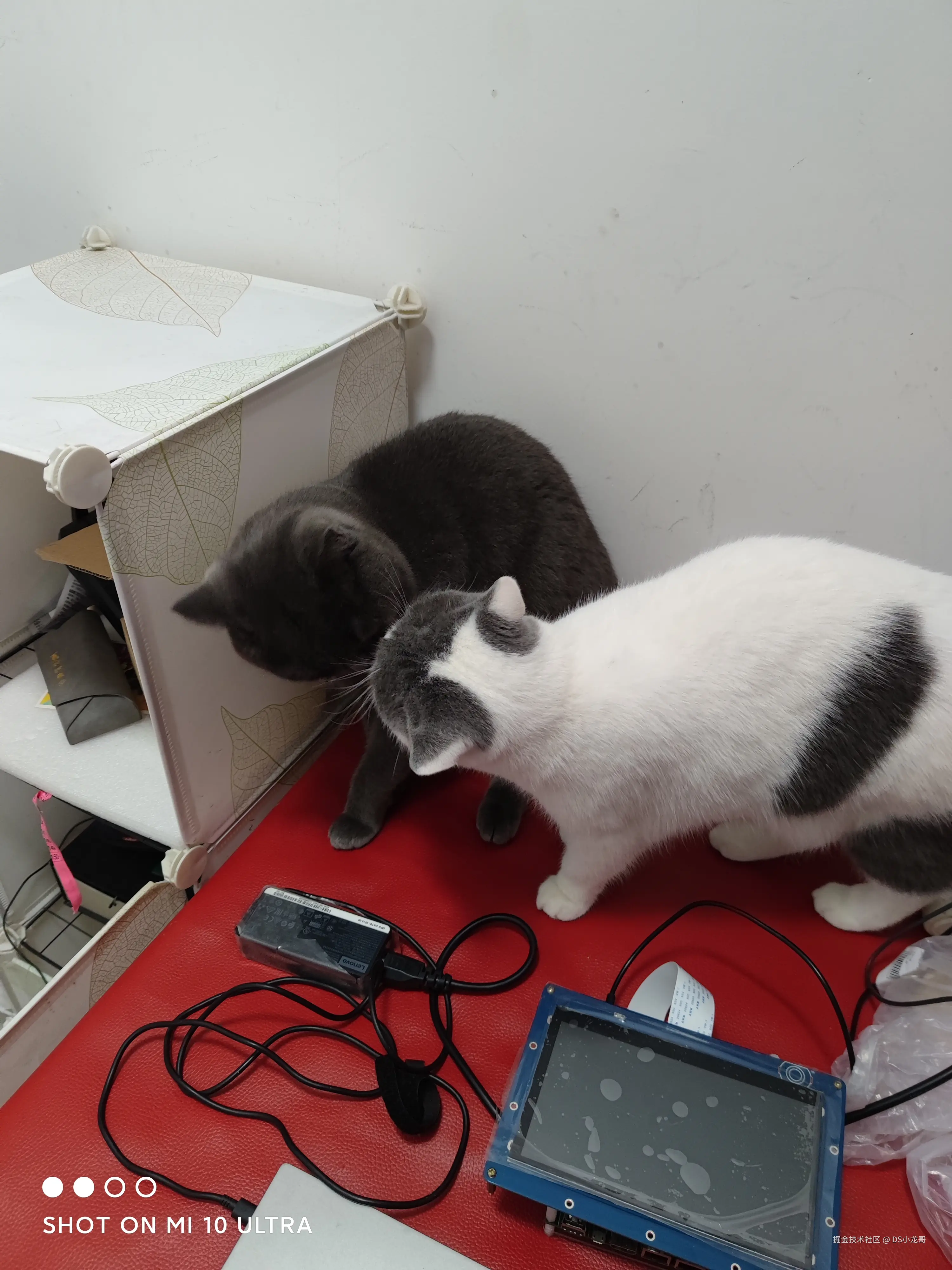 DS小龙哥于2025-07-14 15:26发布的图片