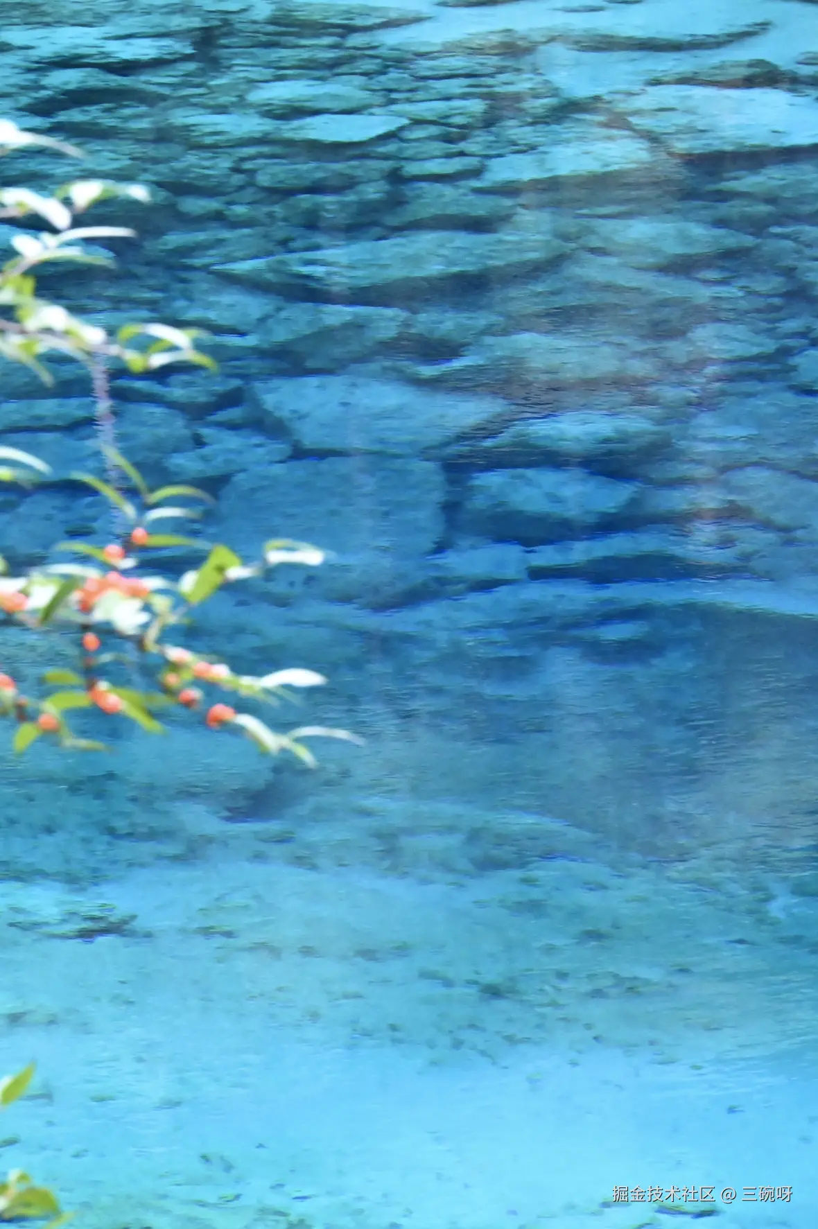 三碗呀于2025-11-19 08:23发布的图片