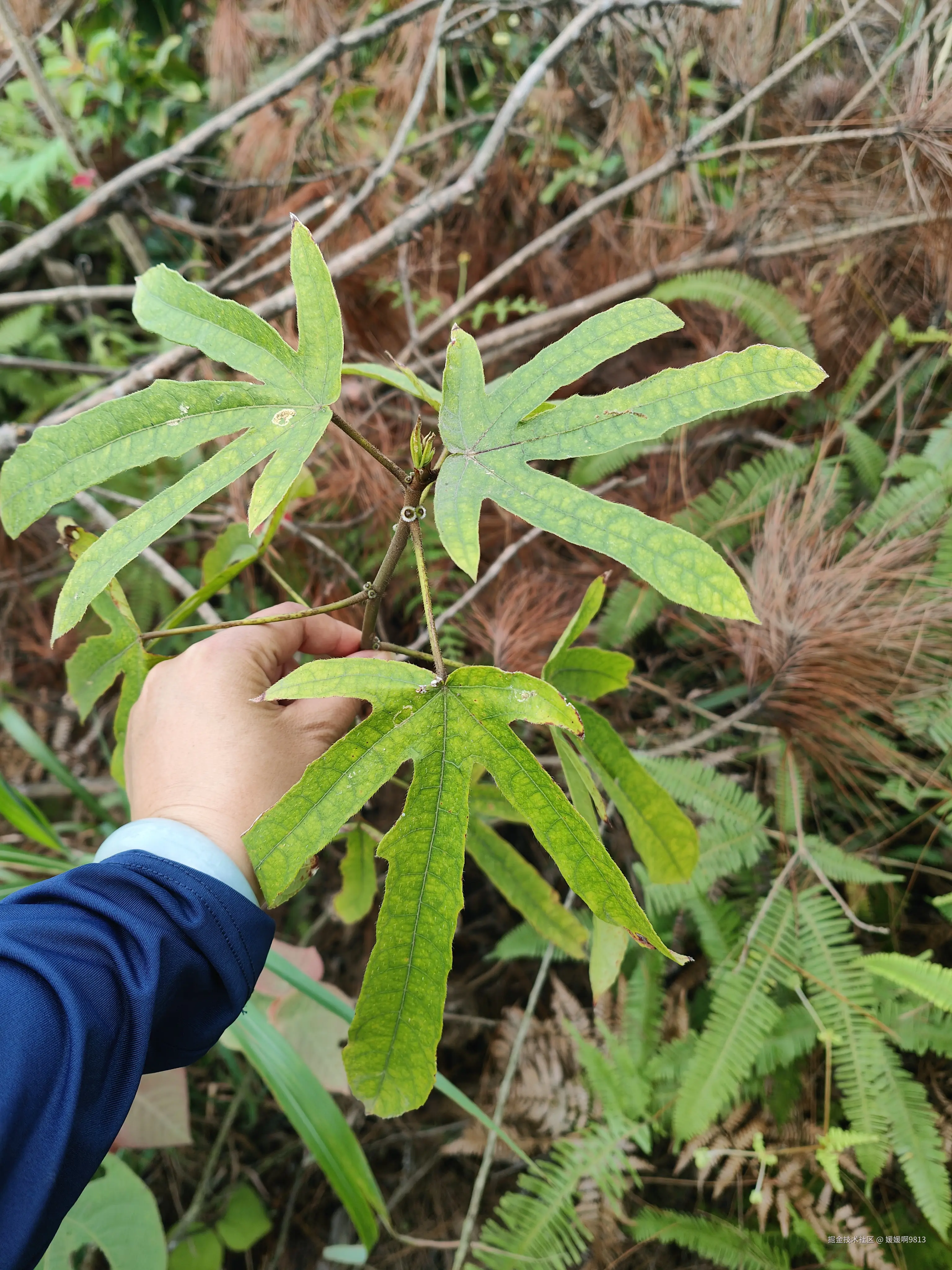 媛媛啊9813于2026-02-22 22:04发布的图片