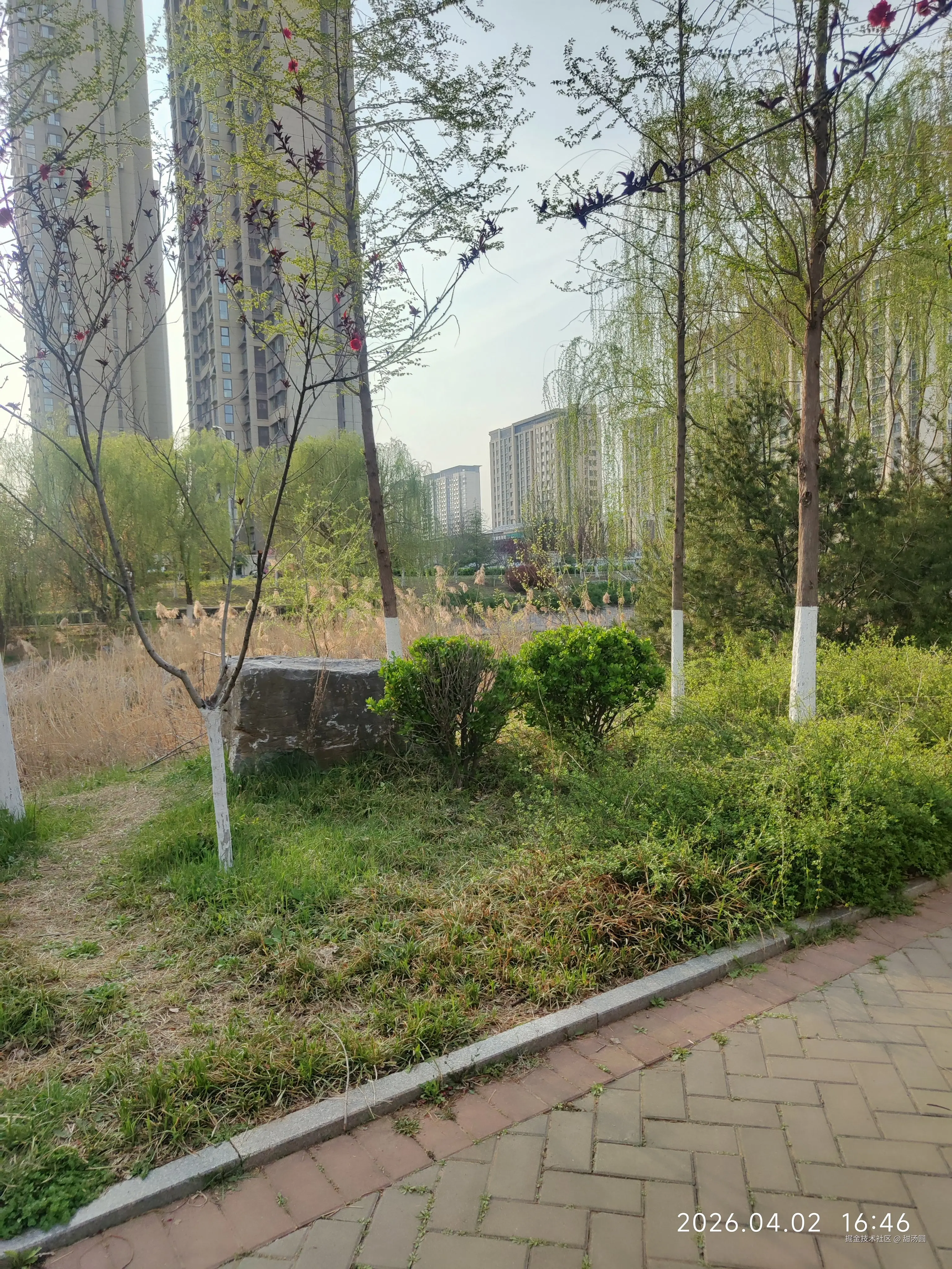 甜汤圆于2026-04-02 16:47发布的图片