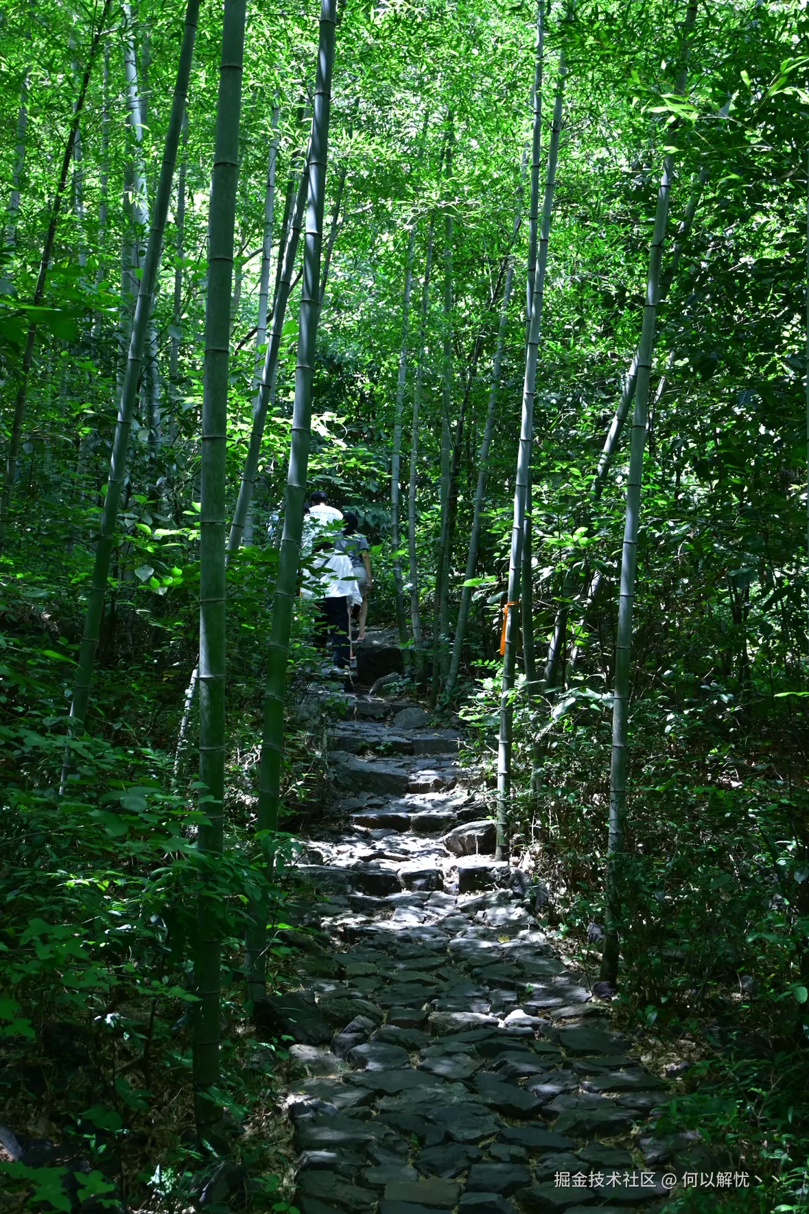 何以解忧丶丶于2025-08-11 11:12发布的图片