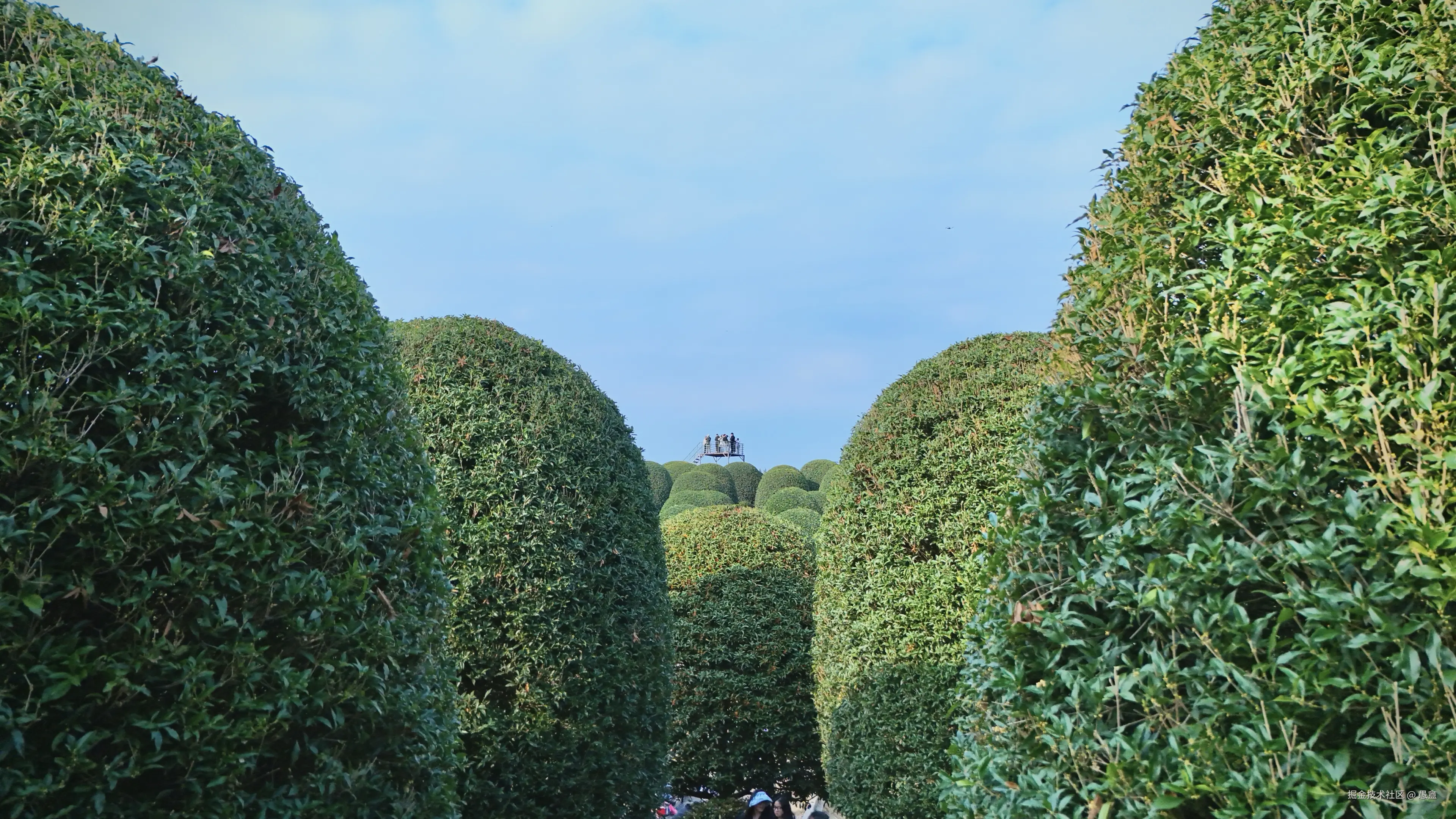 愚盦于2025-10-27 16:02发布的图片