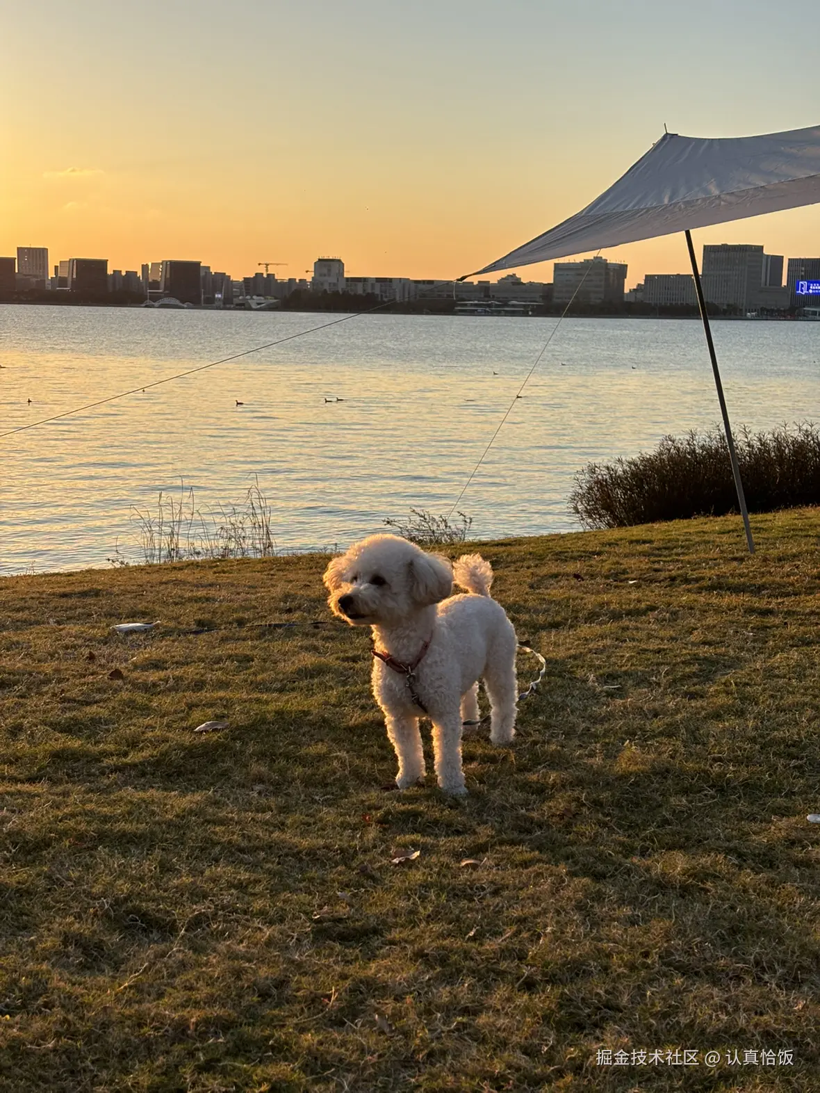 认真恰饭于2025-11-28 20:44发布的图片