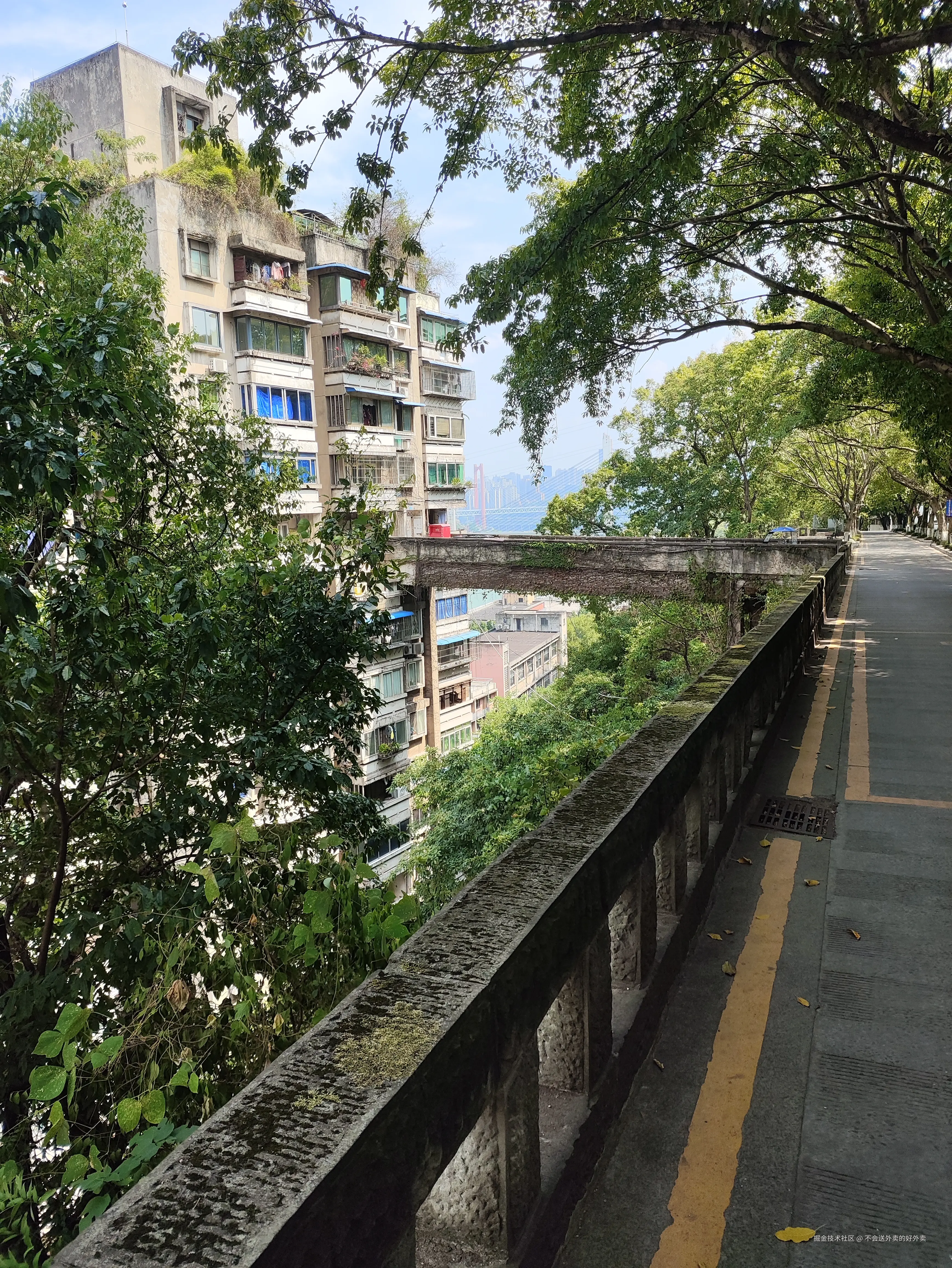 不会送外卖的好外卖于2024-09-17 23:04发布的图片