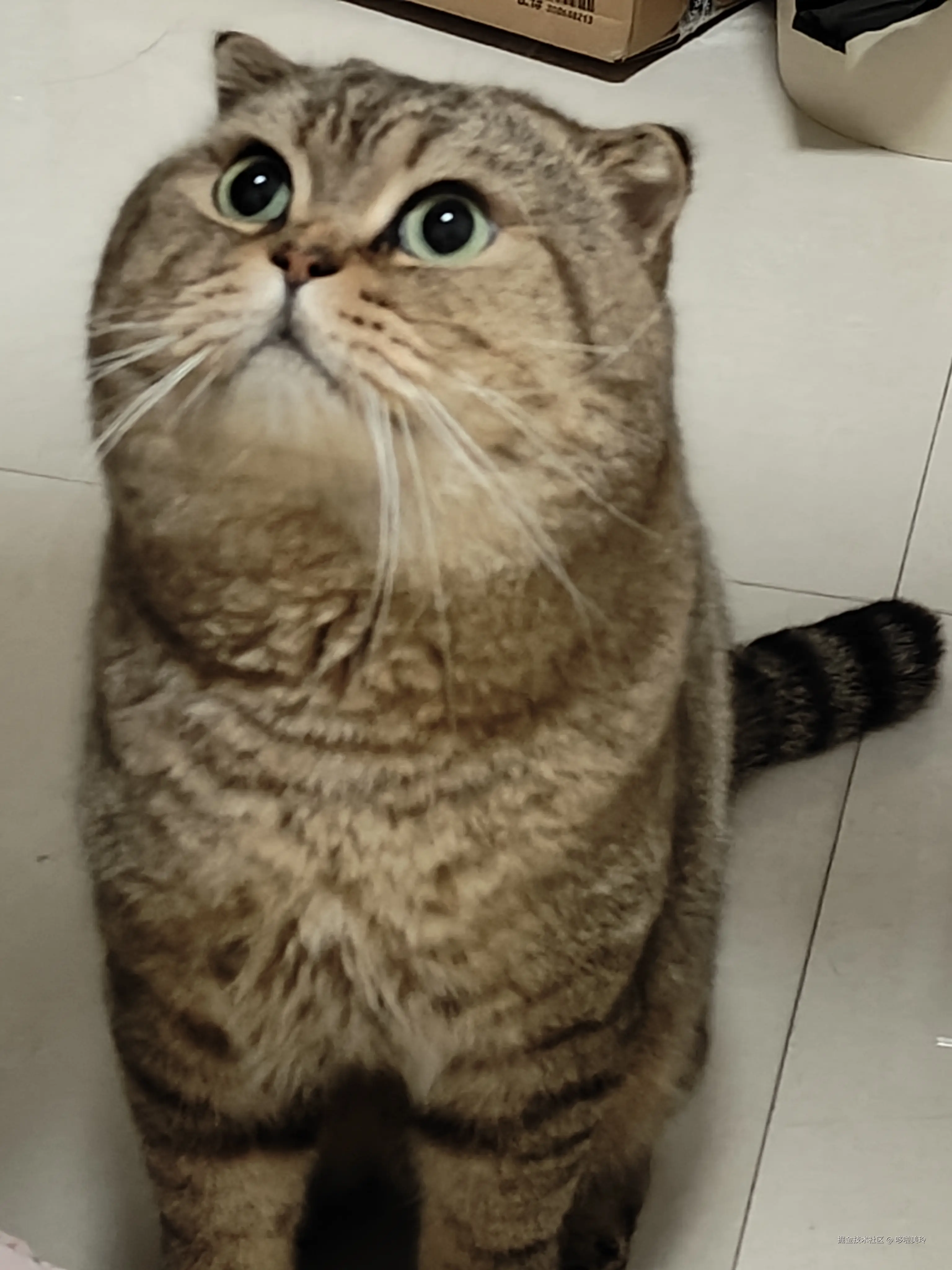 哆啦美玲于2024-12-21 08:47发布的图片