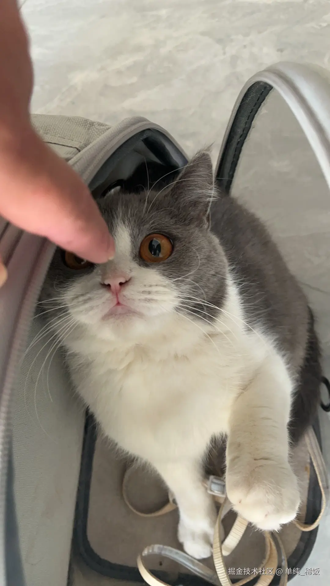 单纯_稀饭于2024-11-29 17:47发布的图片