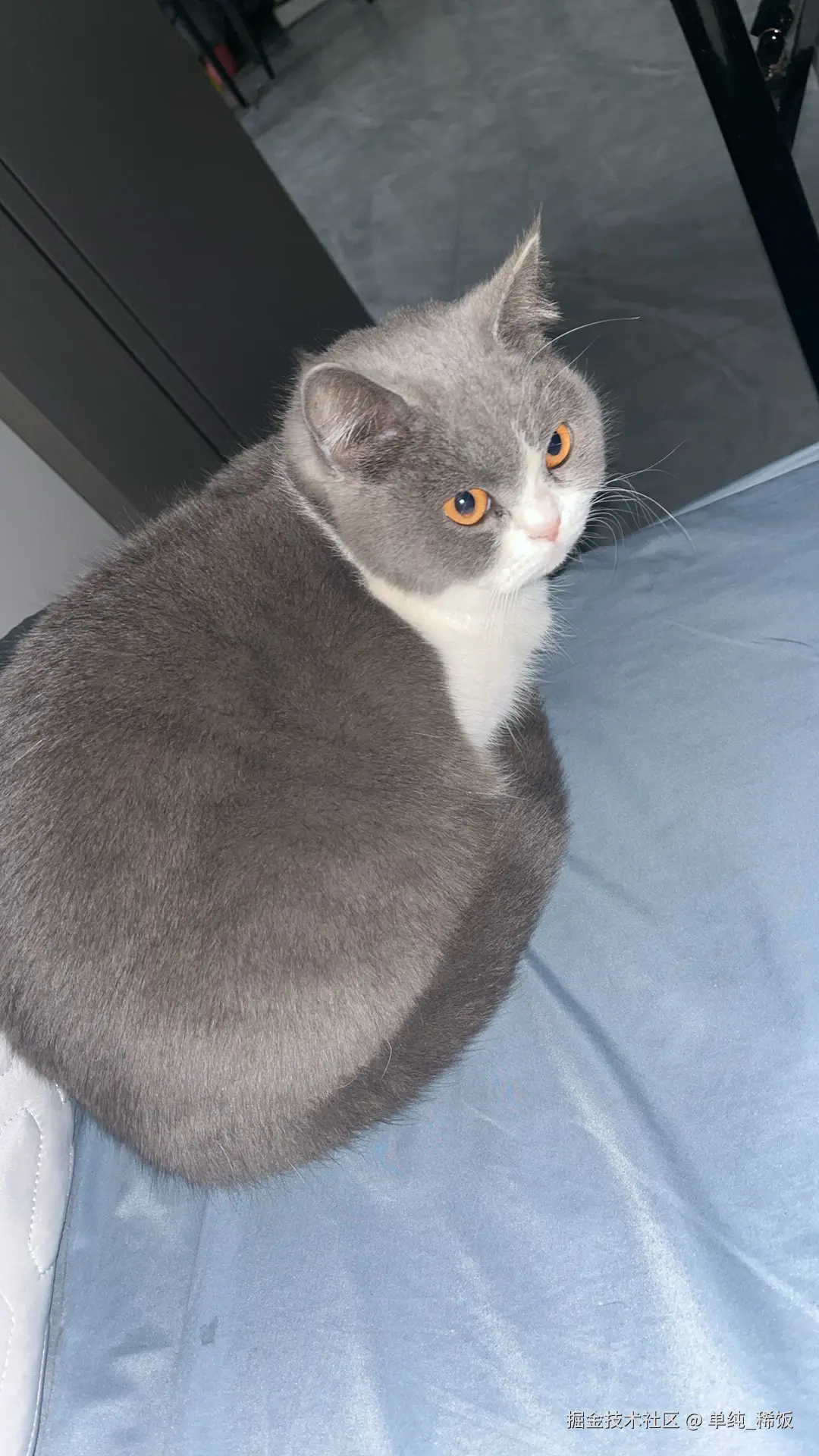 单纯_稀饭于2025-01-22 13:44发布的图片